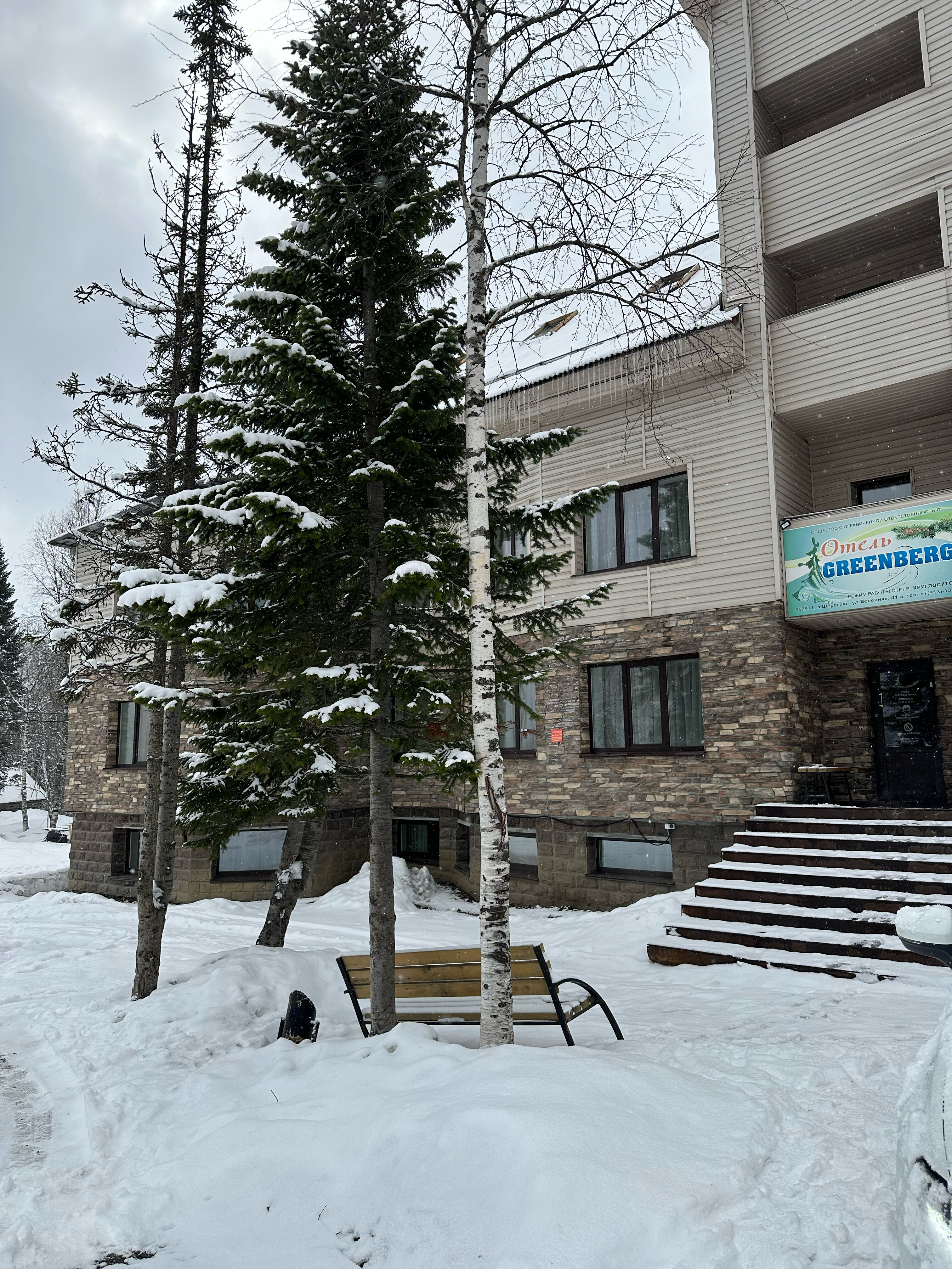 Фото Гринберг