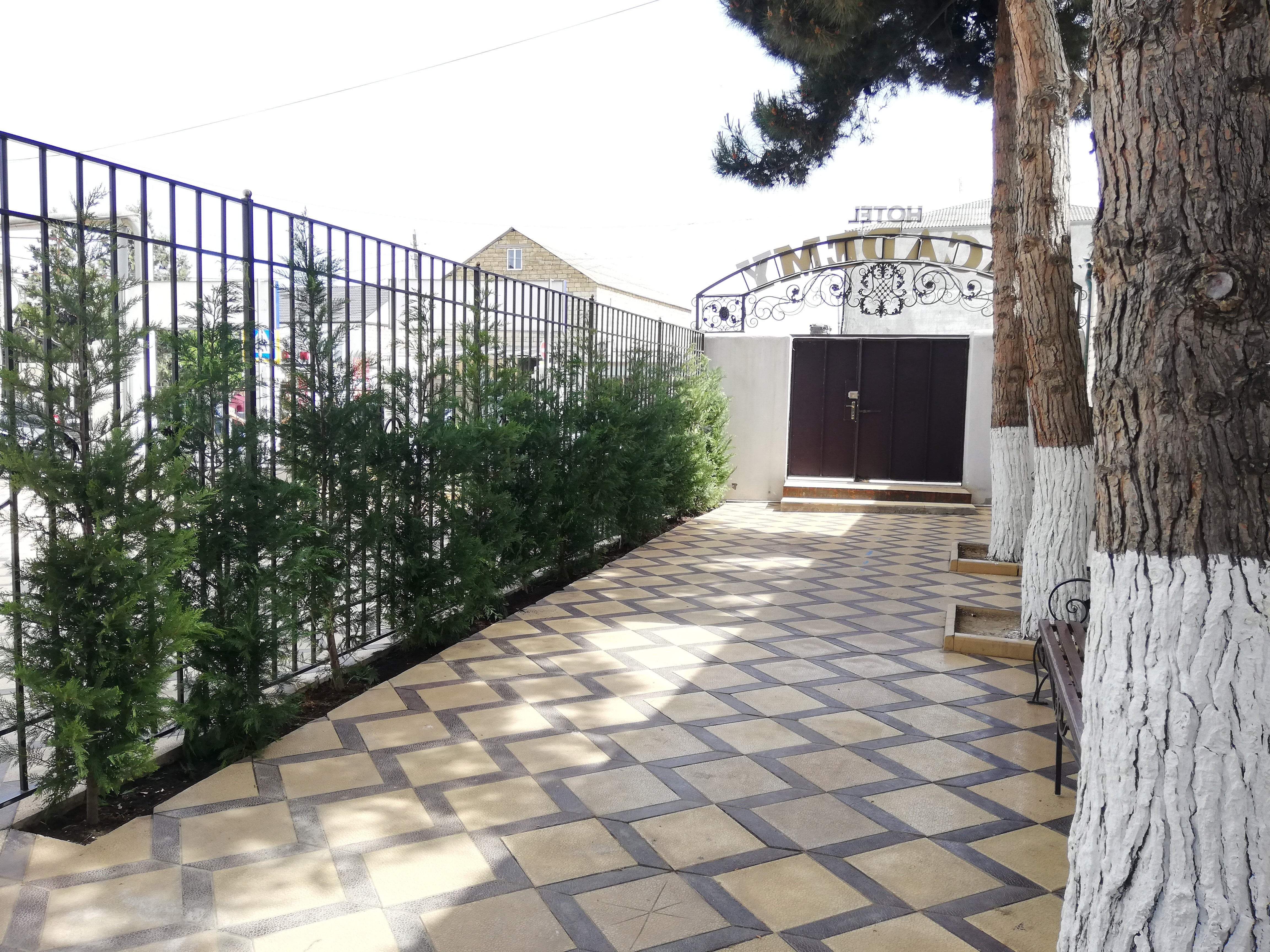 Фото Академия