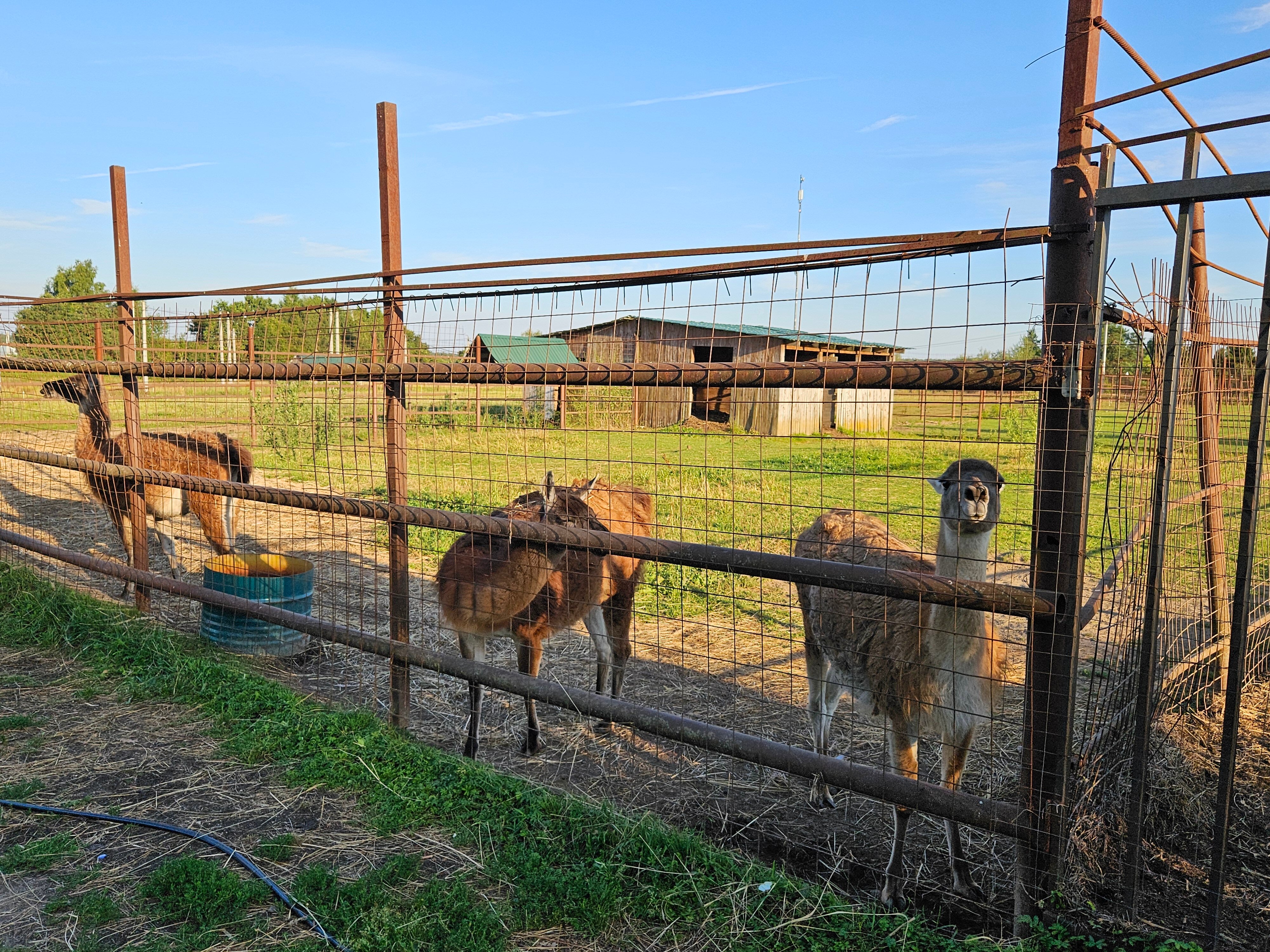 Фото Усадьба Яхрома