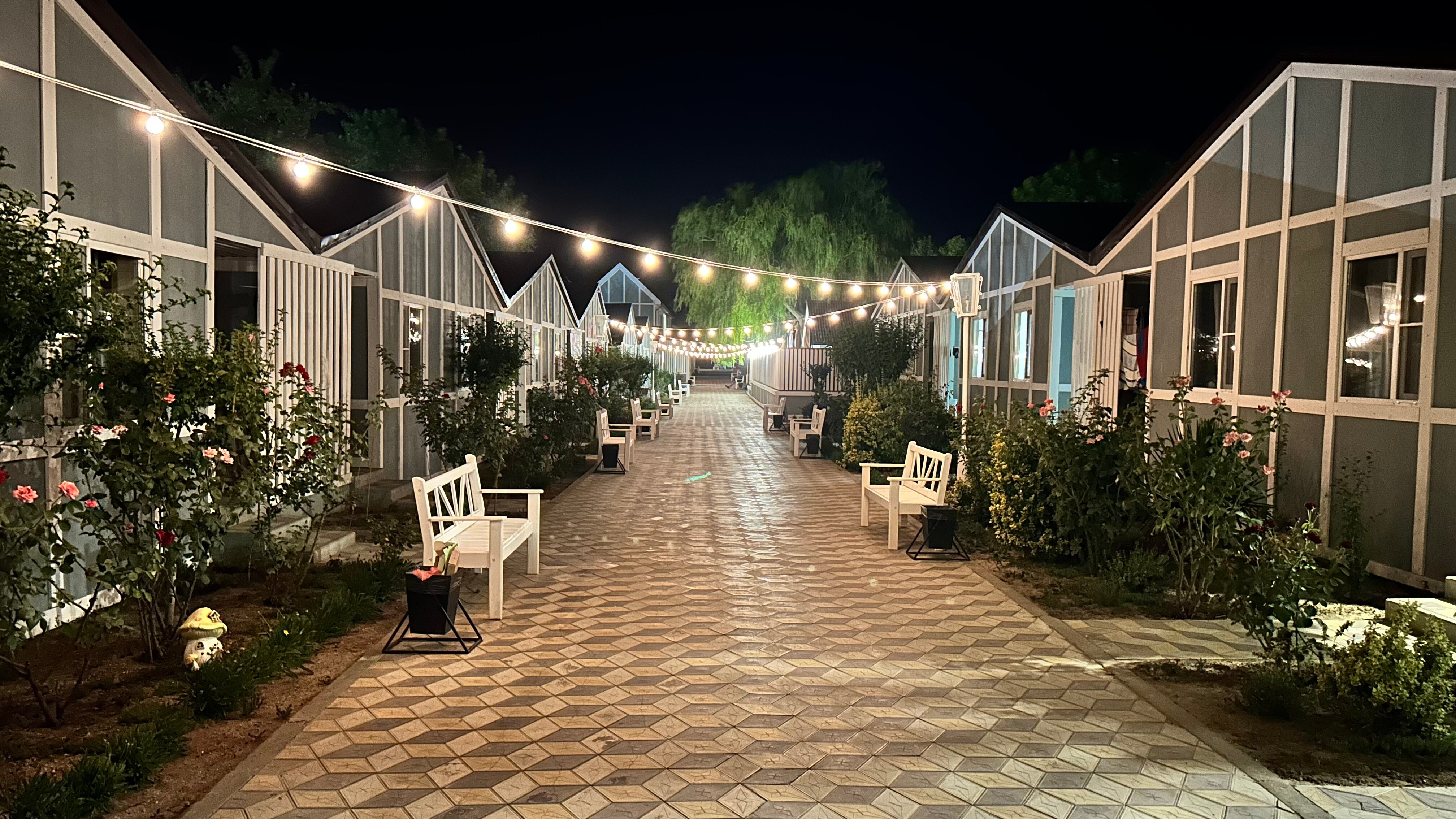 Фото Альтаир