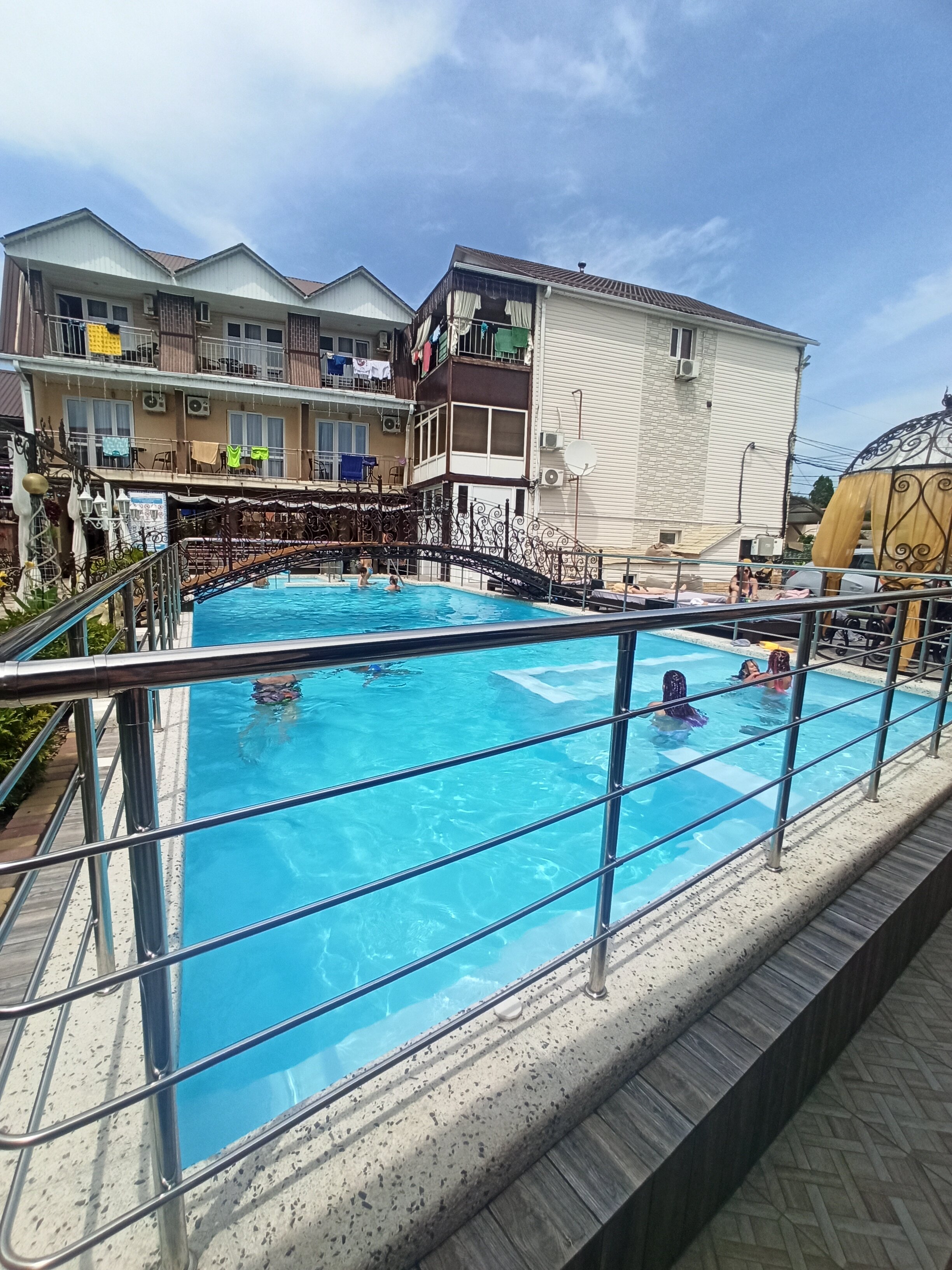 Фото Анютины Глазки