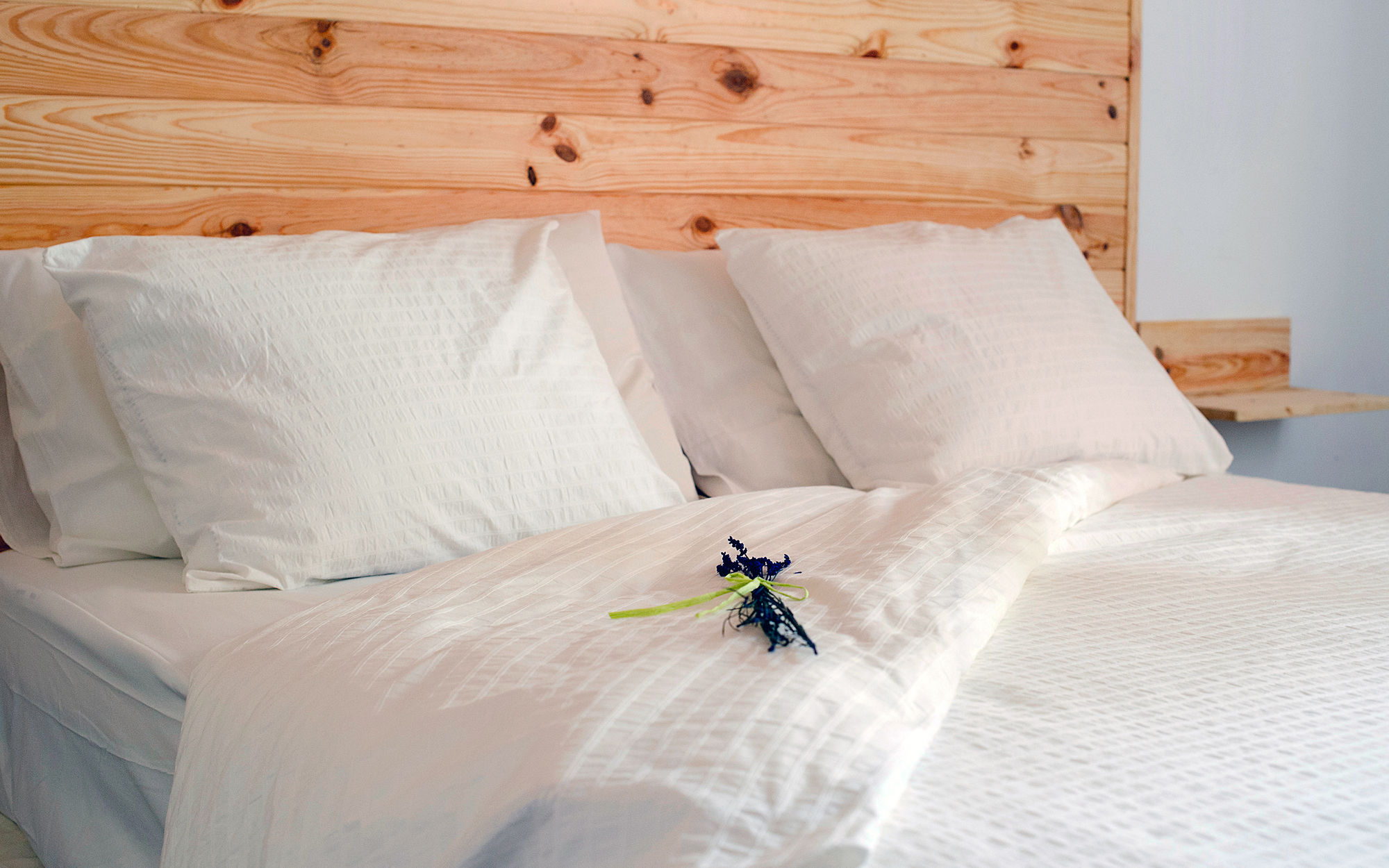 Фото Guesthouse Katanka