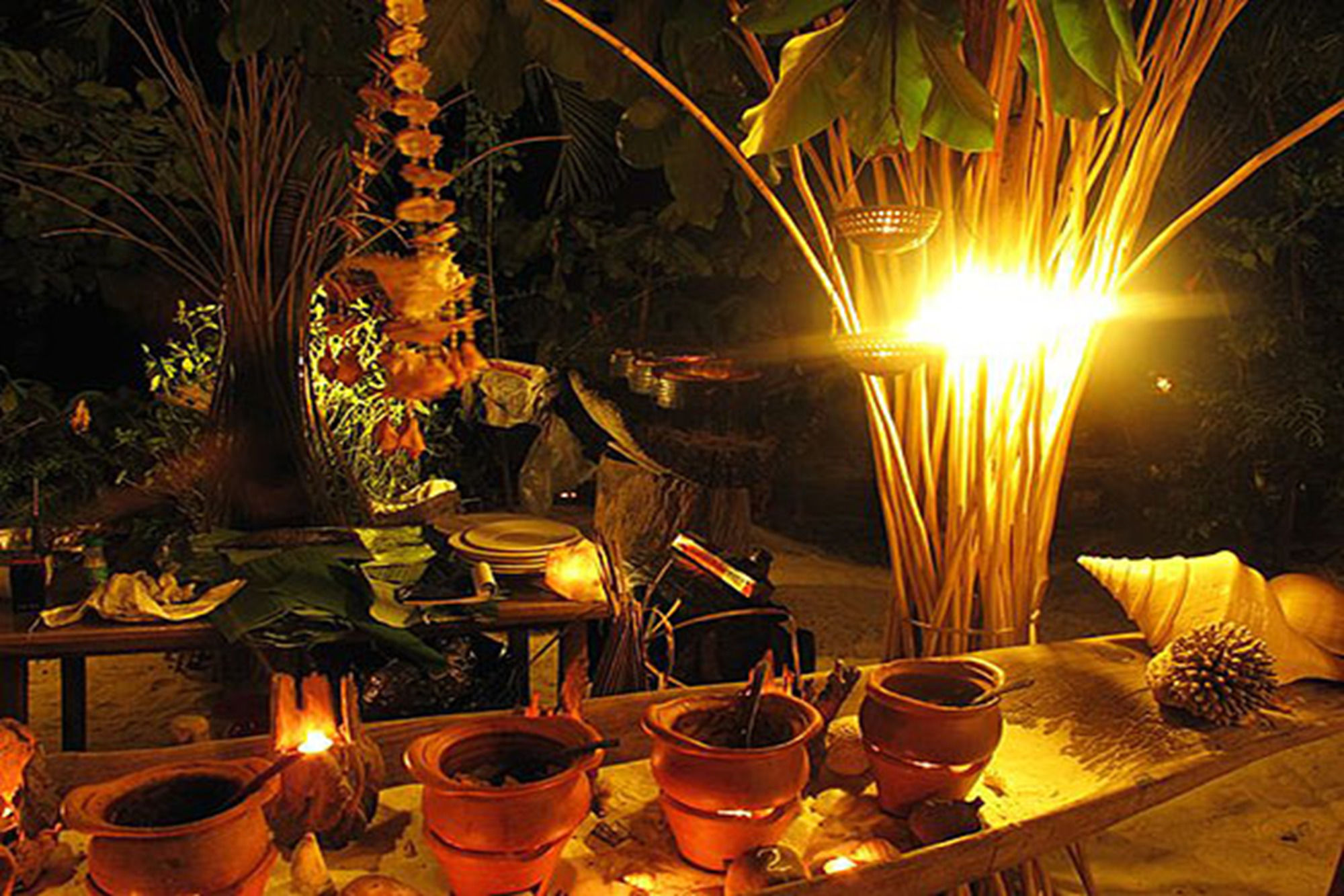 Фото Viking Nature Resort