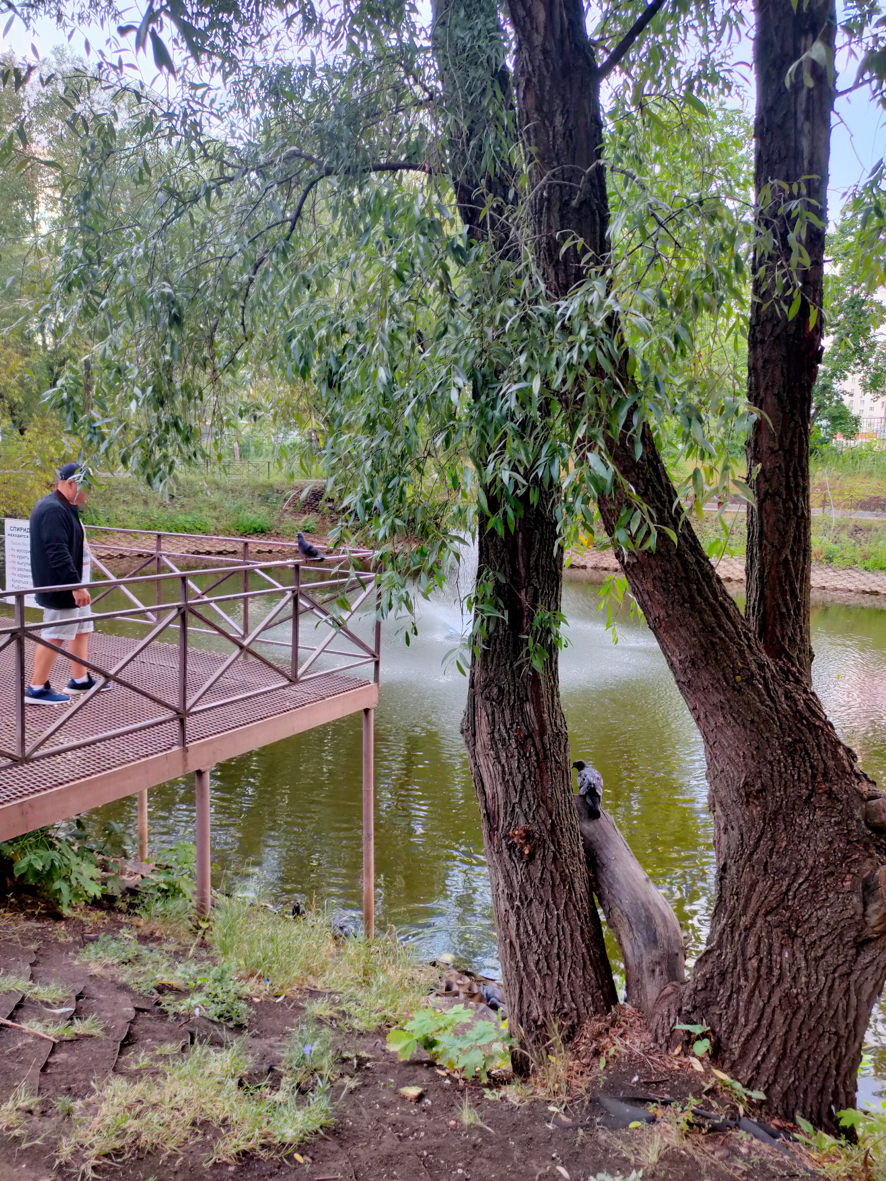 Фото Фрунзенец