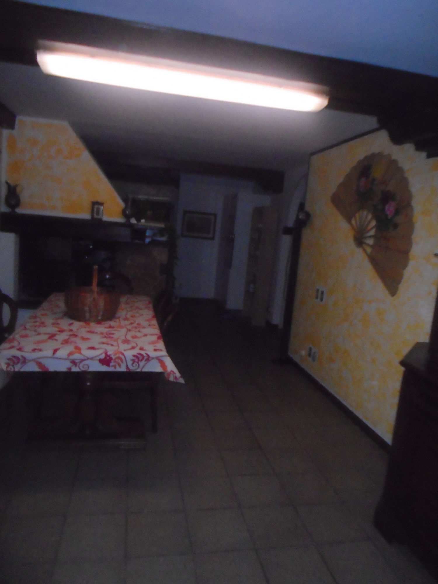 Фото Tropical B&b