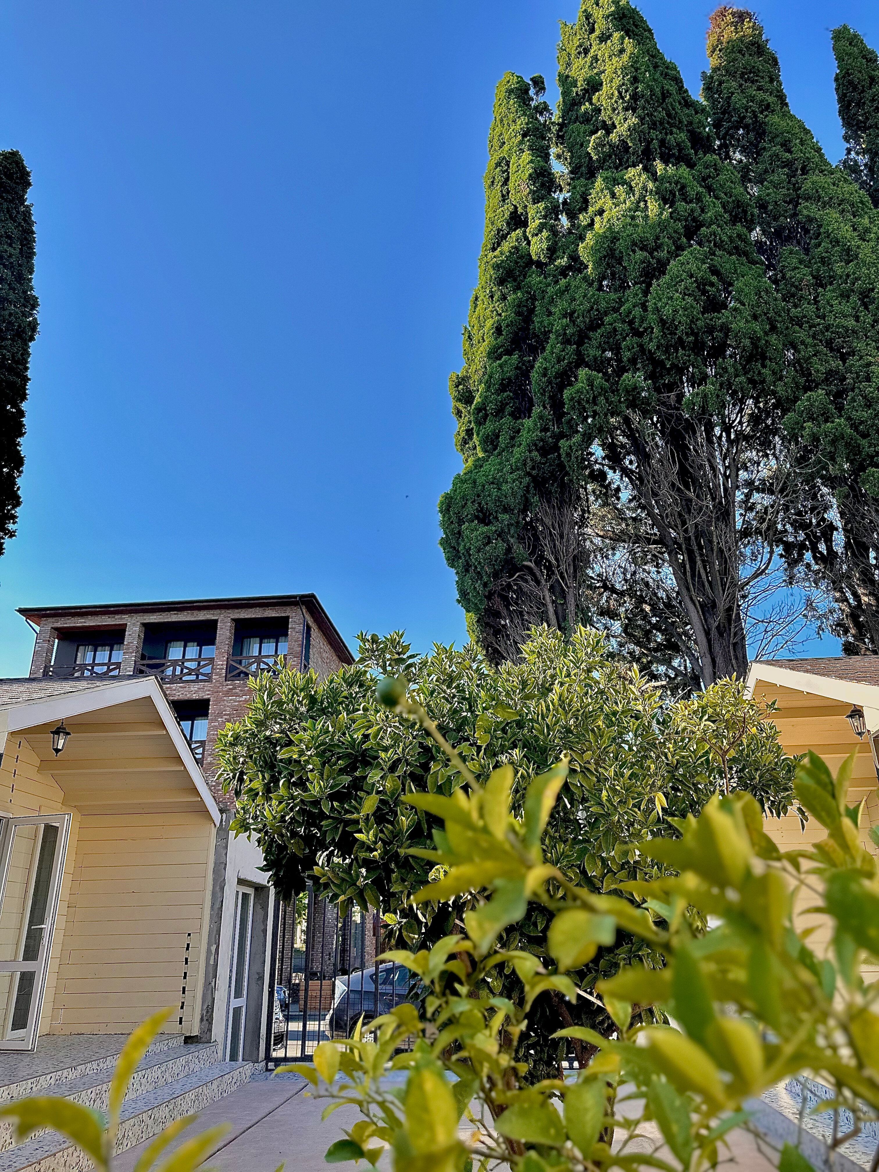 Фото Жемчужина Абхазии