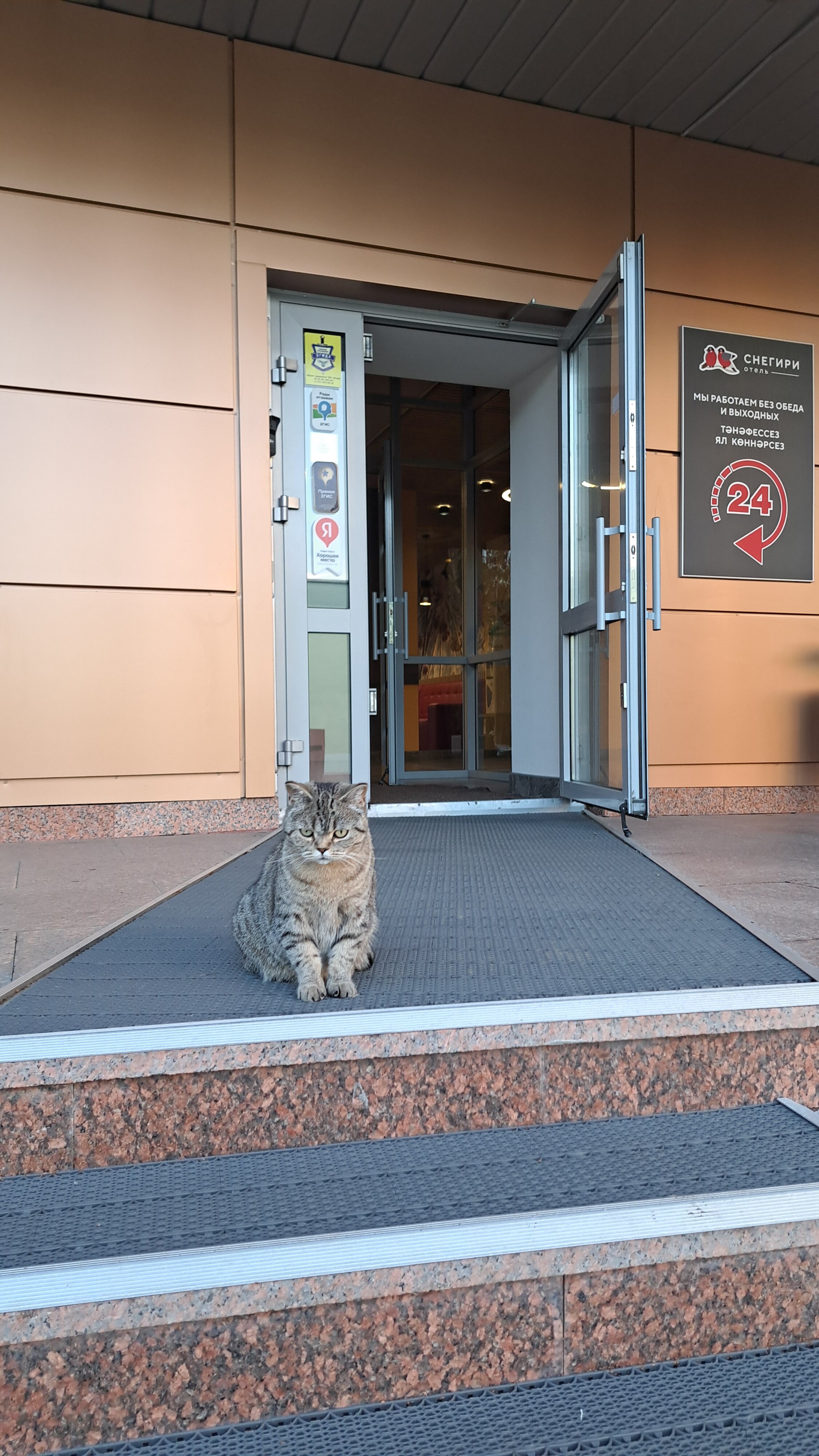 Фото Снегири