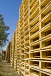 СпецТехПоддон (derevnya Krasnaya Gorka, Krasnogorskaya ulitsa, 4В), pallets