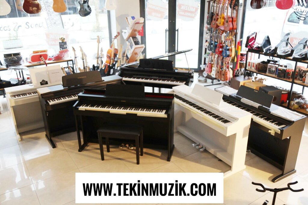Music store Tekin Music Academy, Adapazari, photo