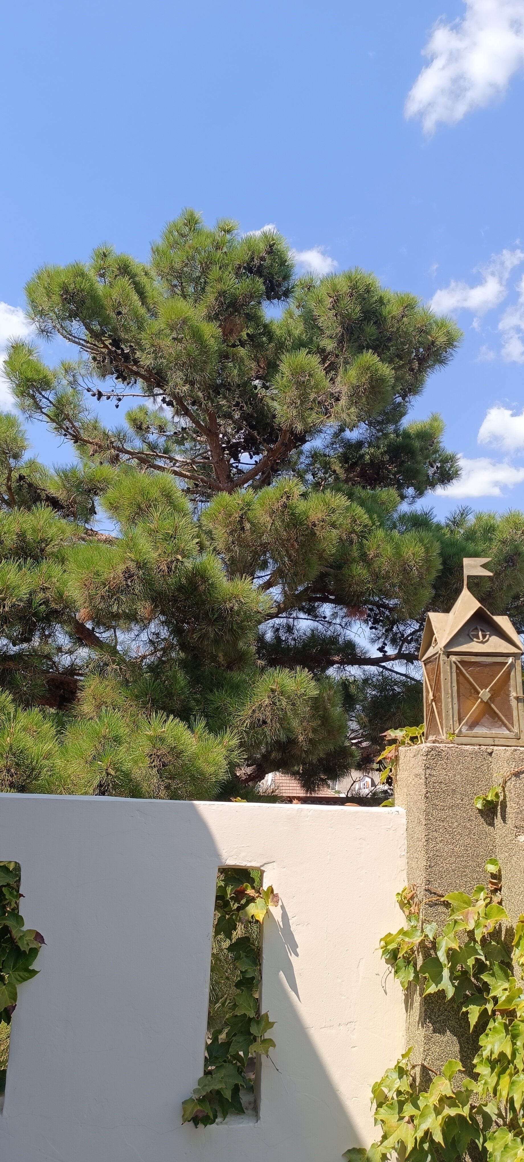 Фото Солнечный замок