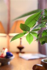 Фото First Eden Hotel