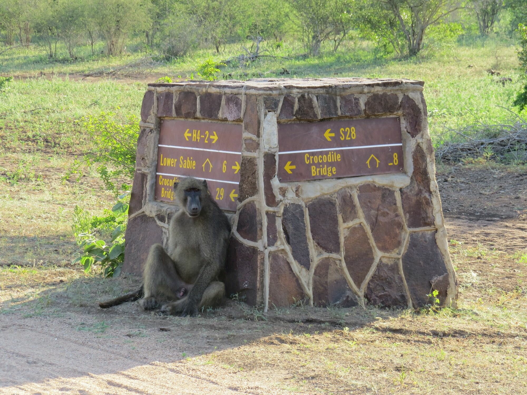 Фото Crocodile Bridge Safari Lodge