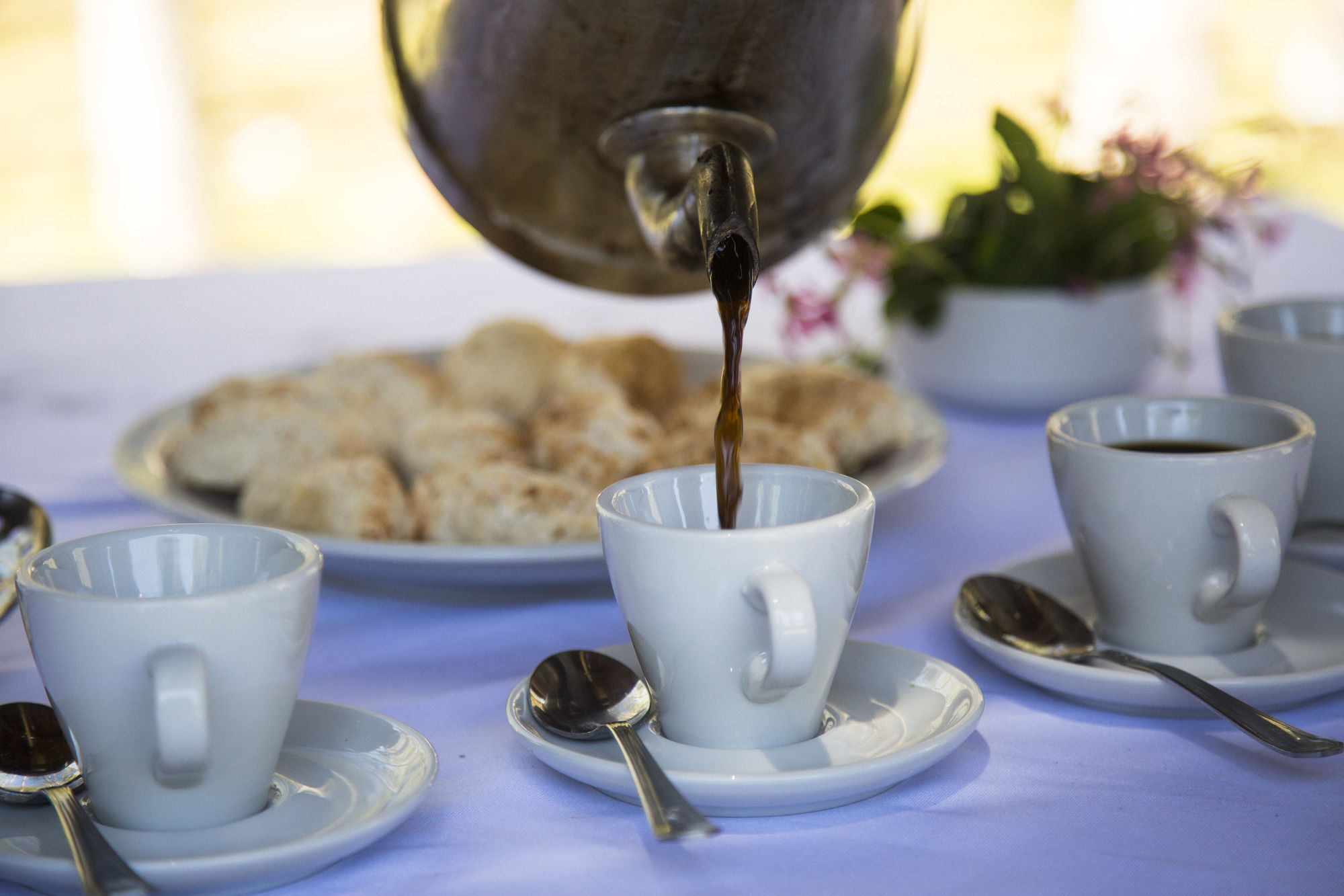 Фото Mocona Virgin Lodge