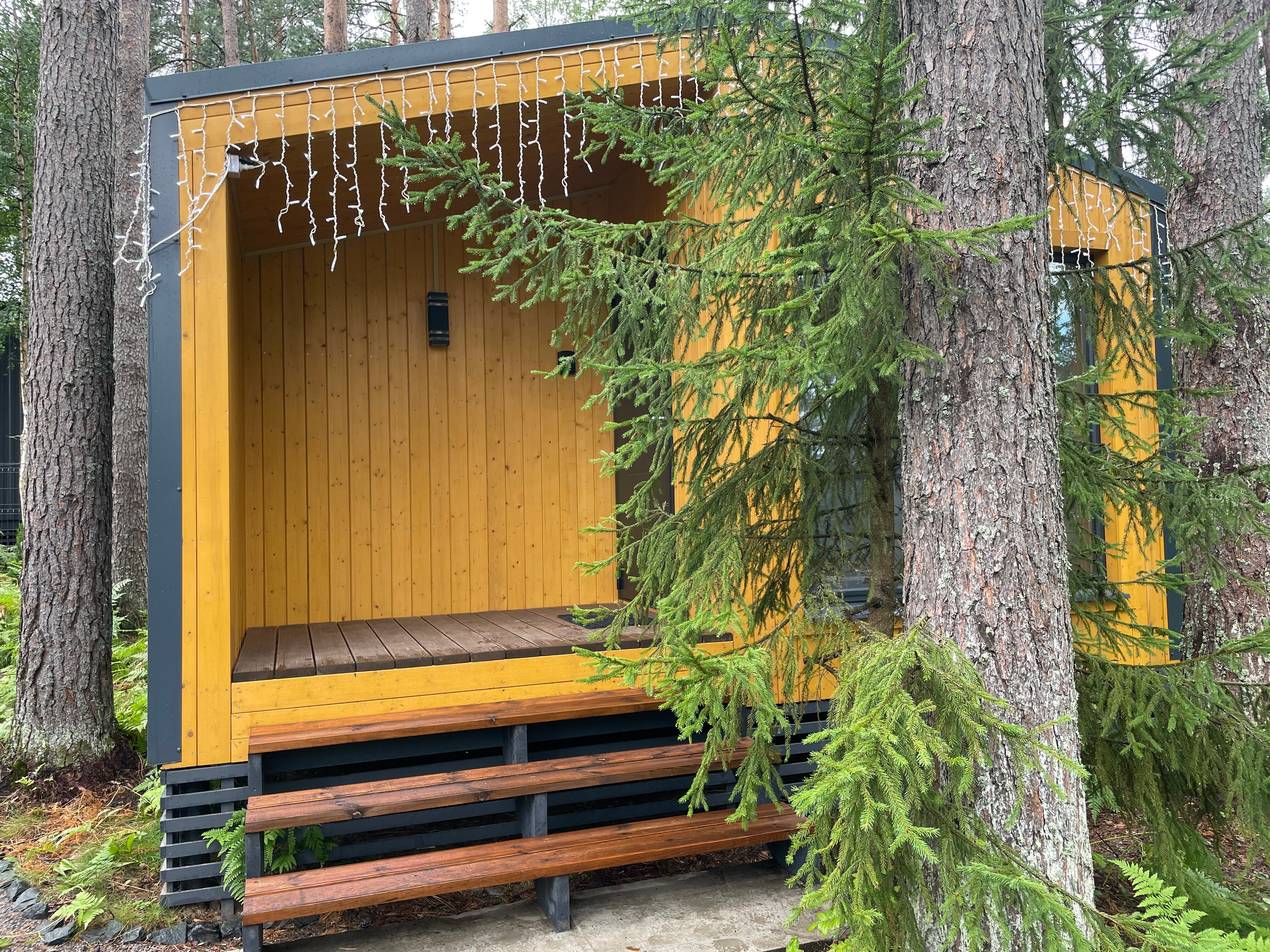 Фото Территория отдыха Лисички