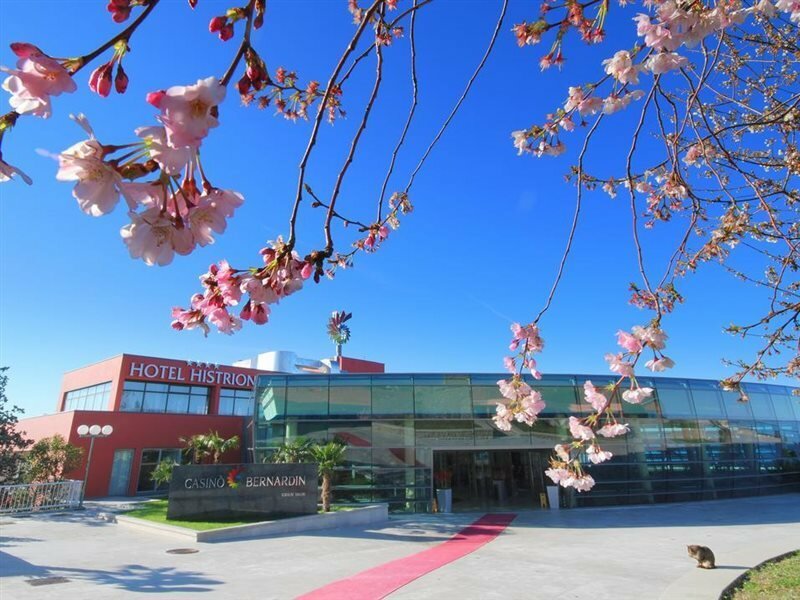 Фото Отель Histrion