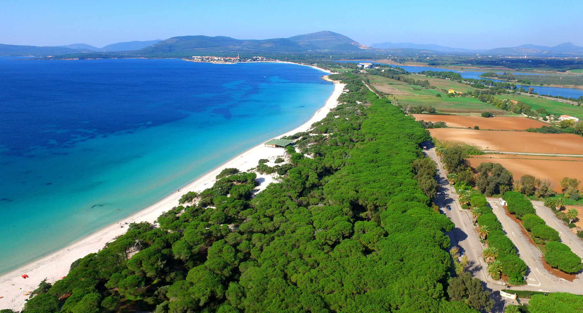 Фото Hotel Oasis