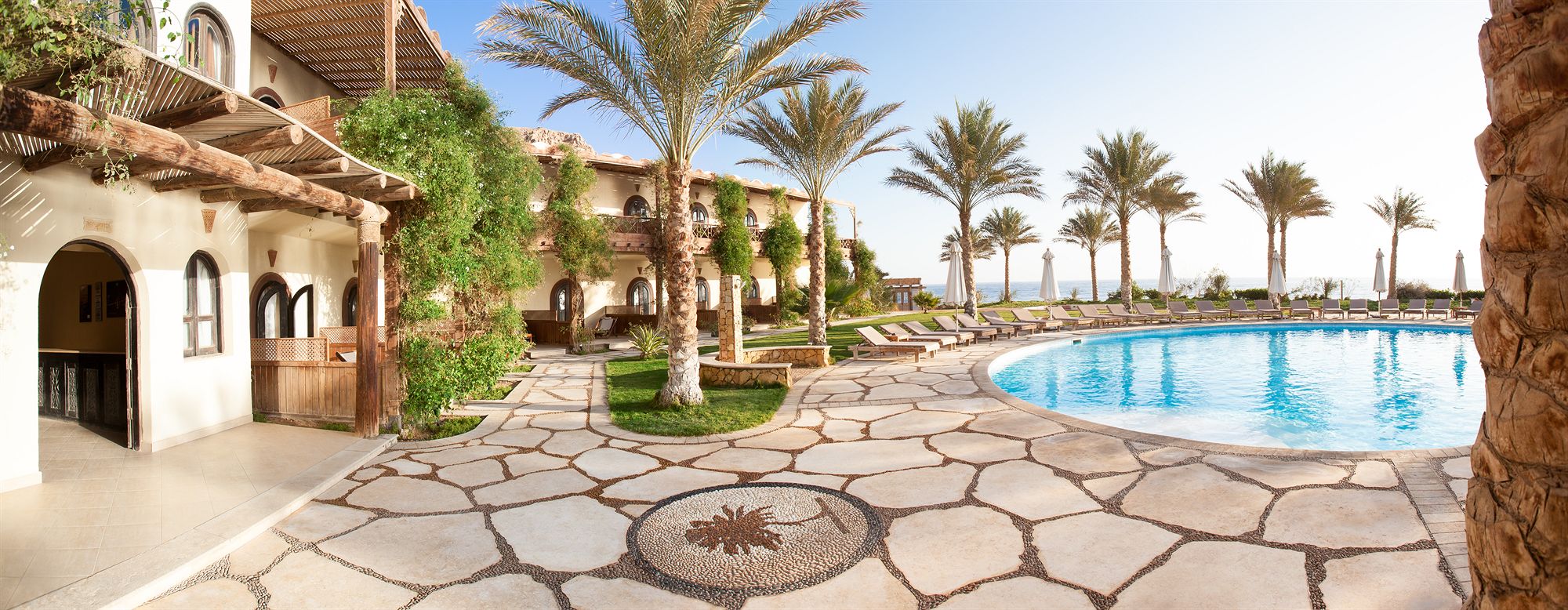 Фото Dahab Paradise