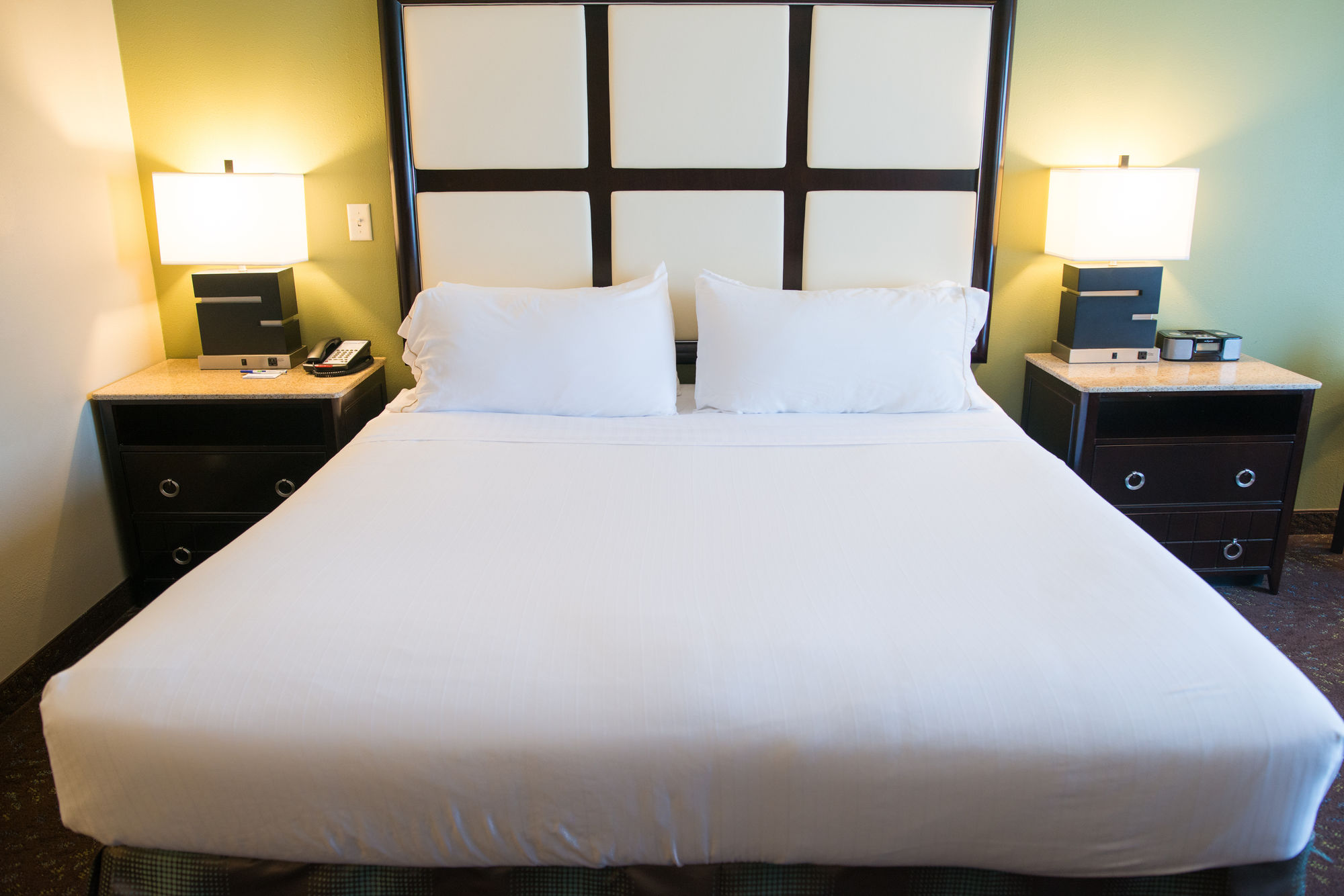 Фото Holiday Inn Express Hotel & Suites Albert Lea - I-35, an Ihg Hotel