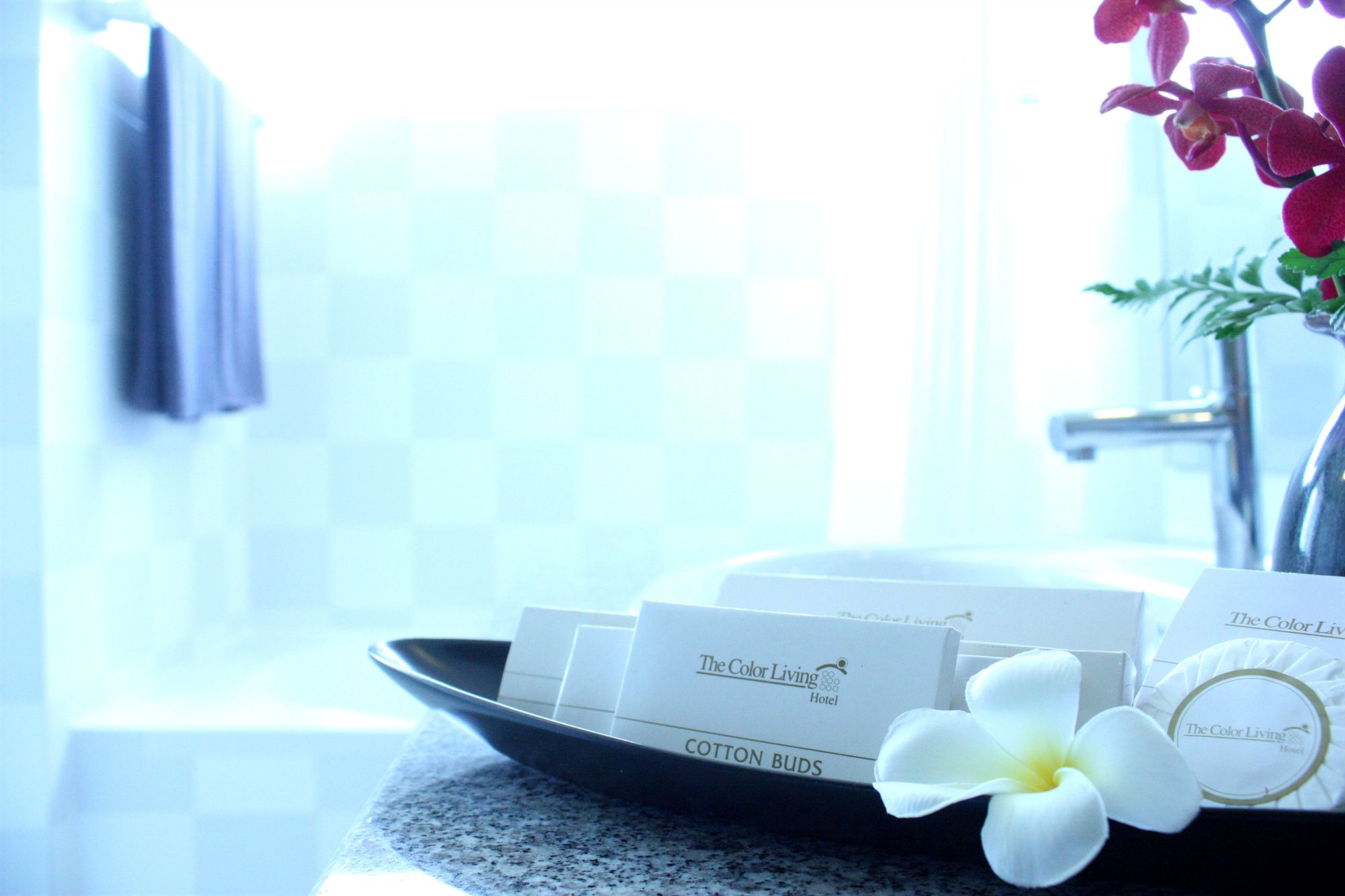 Фото The Color Living Hotel