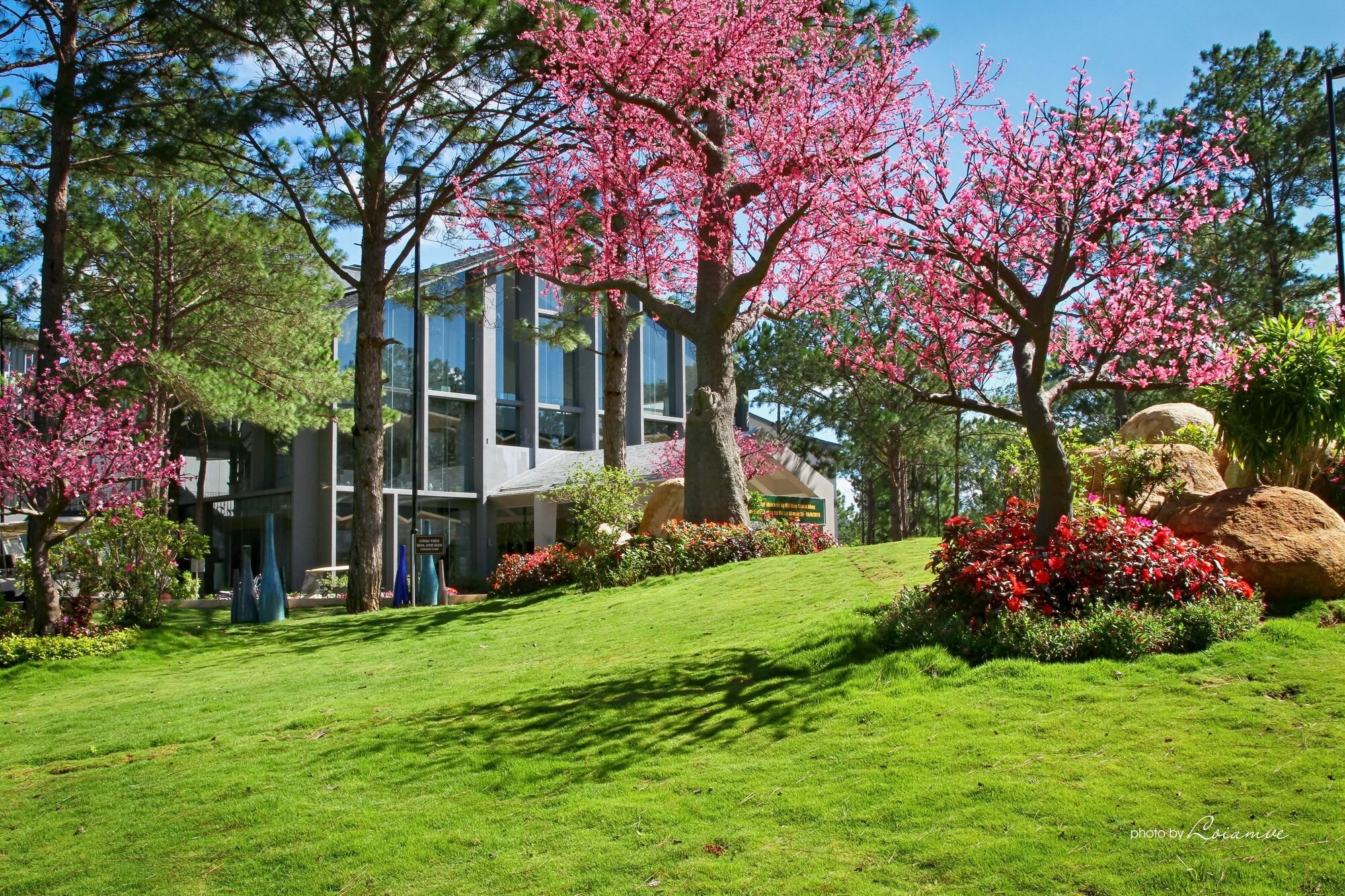 Фото Terracotta Hotel & Resort Dalat
