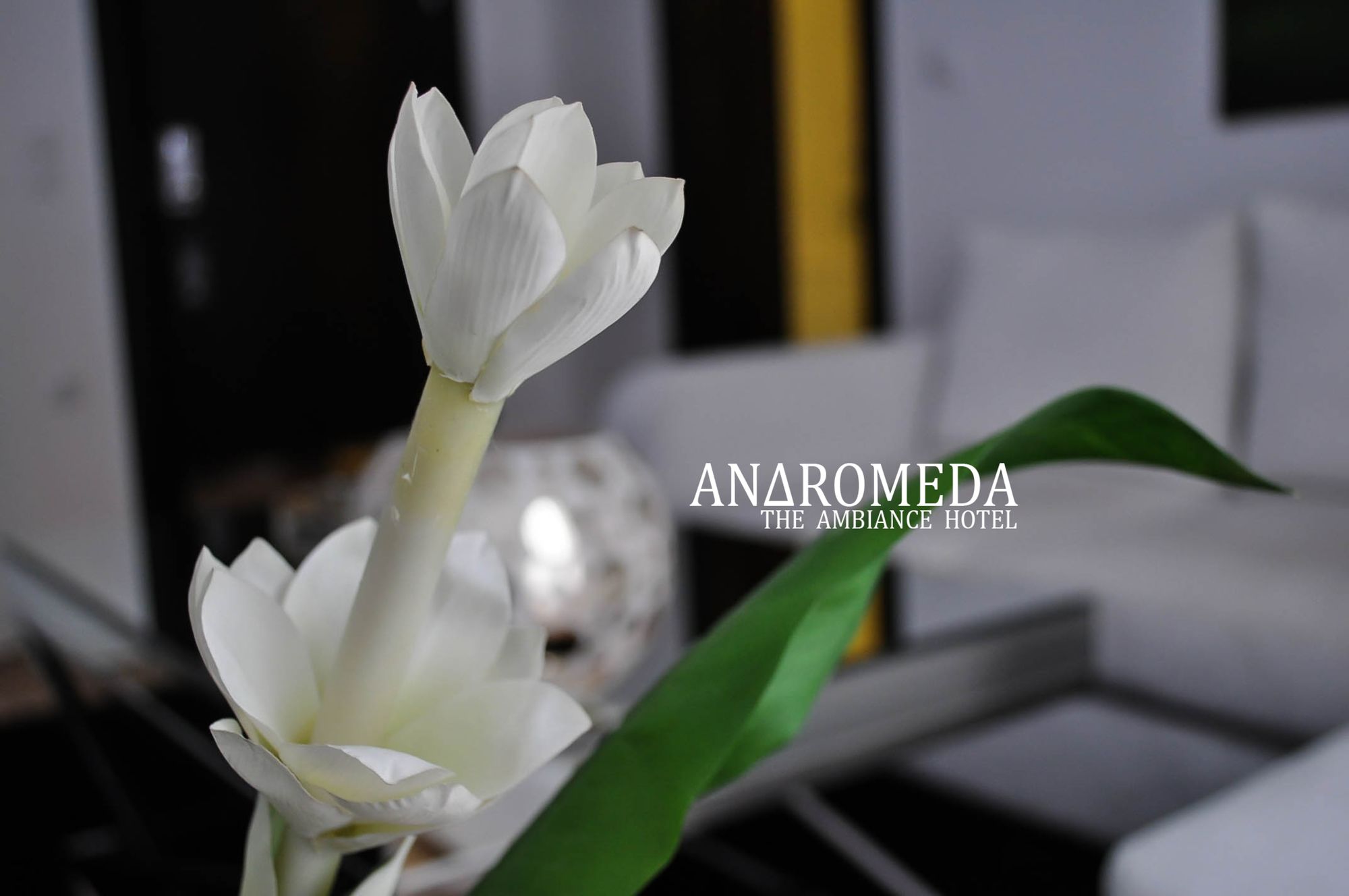 Фото Andromeda Hotel Thessaloniki