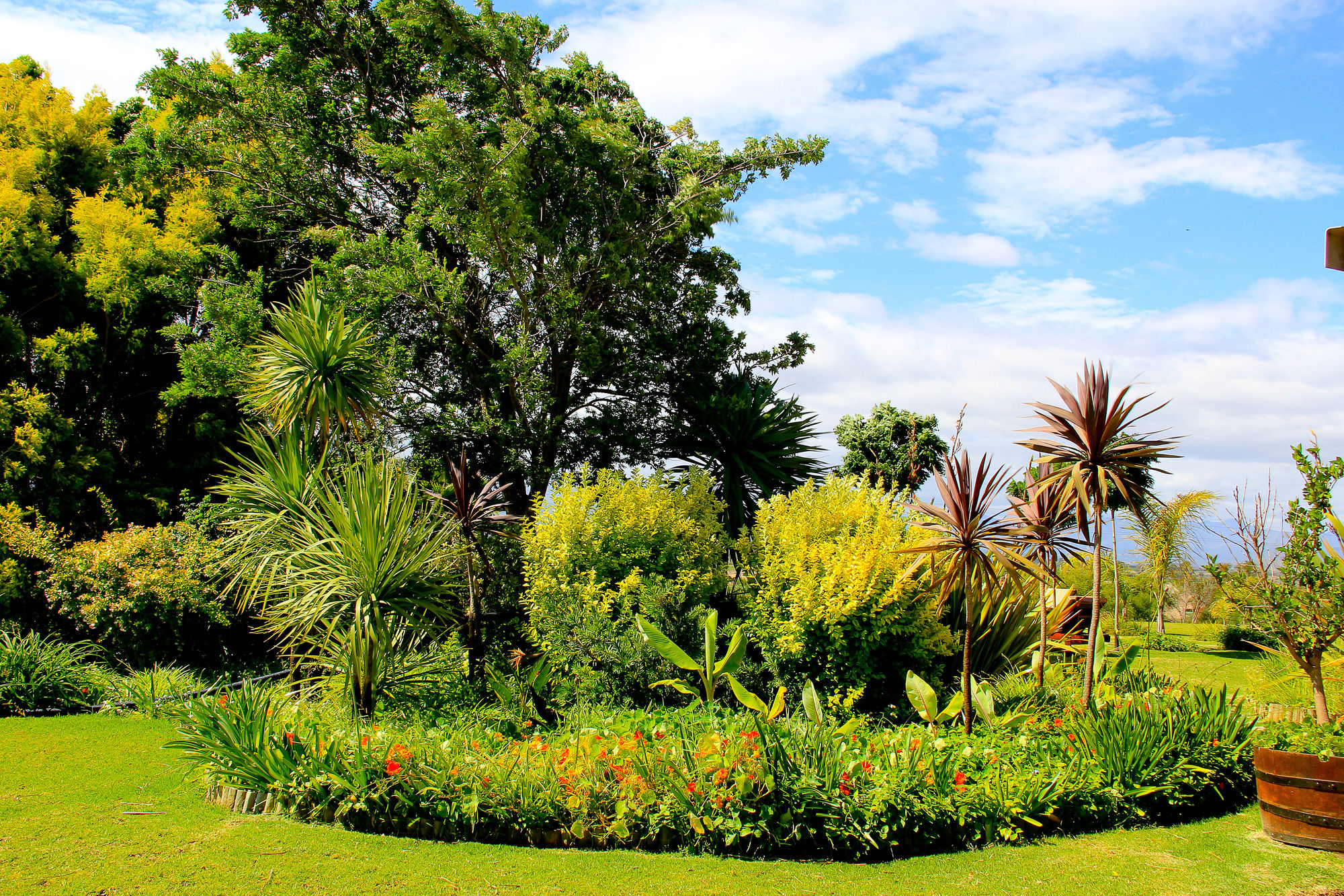 Фото Mooiplaas Guesthouse