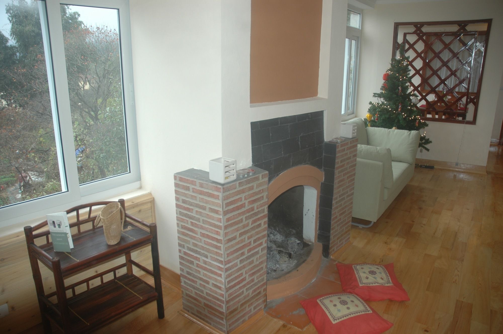 Фото Cat Cat View