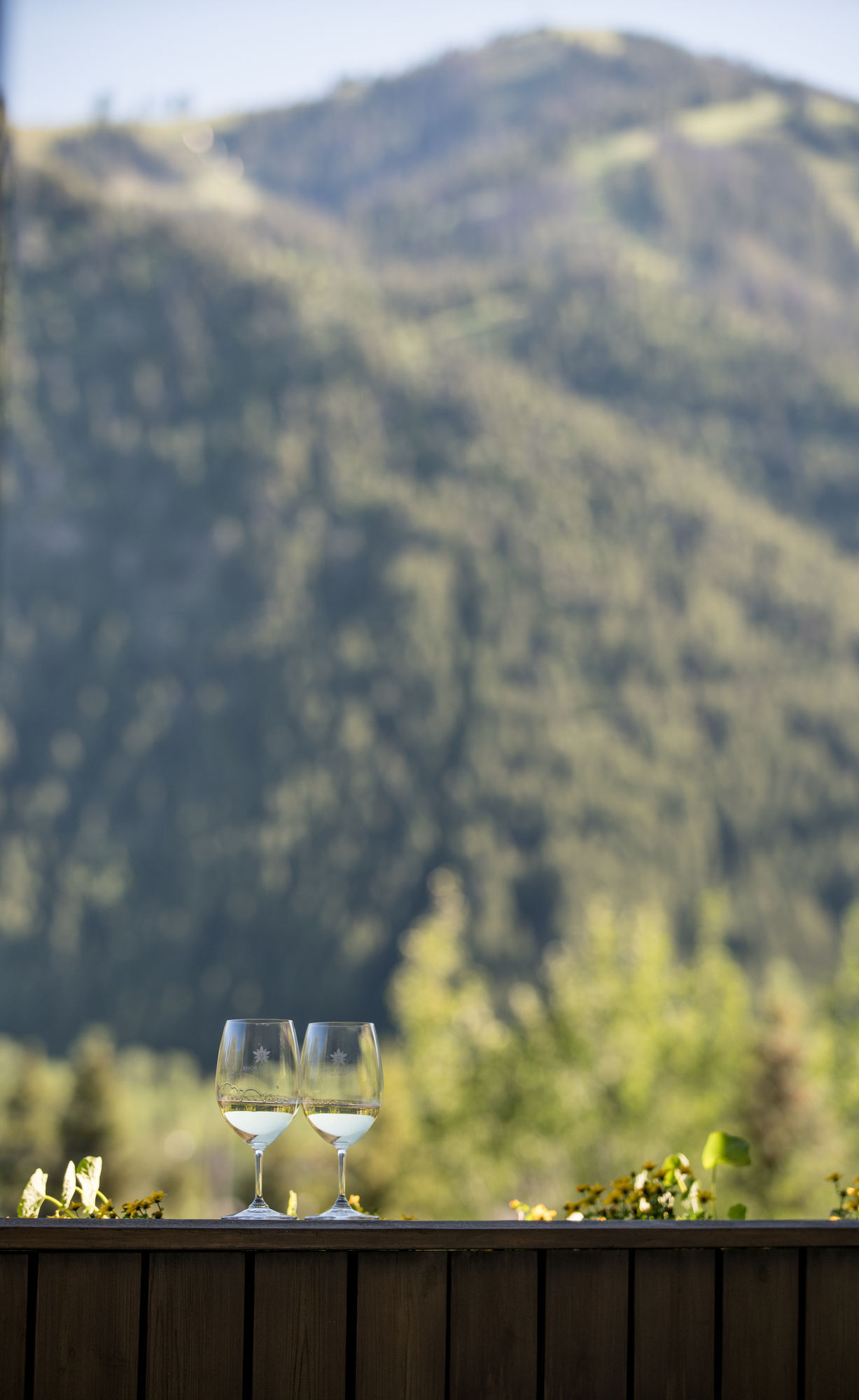 Фото Knob Hill Inn