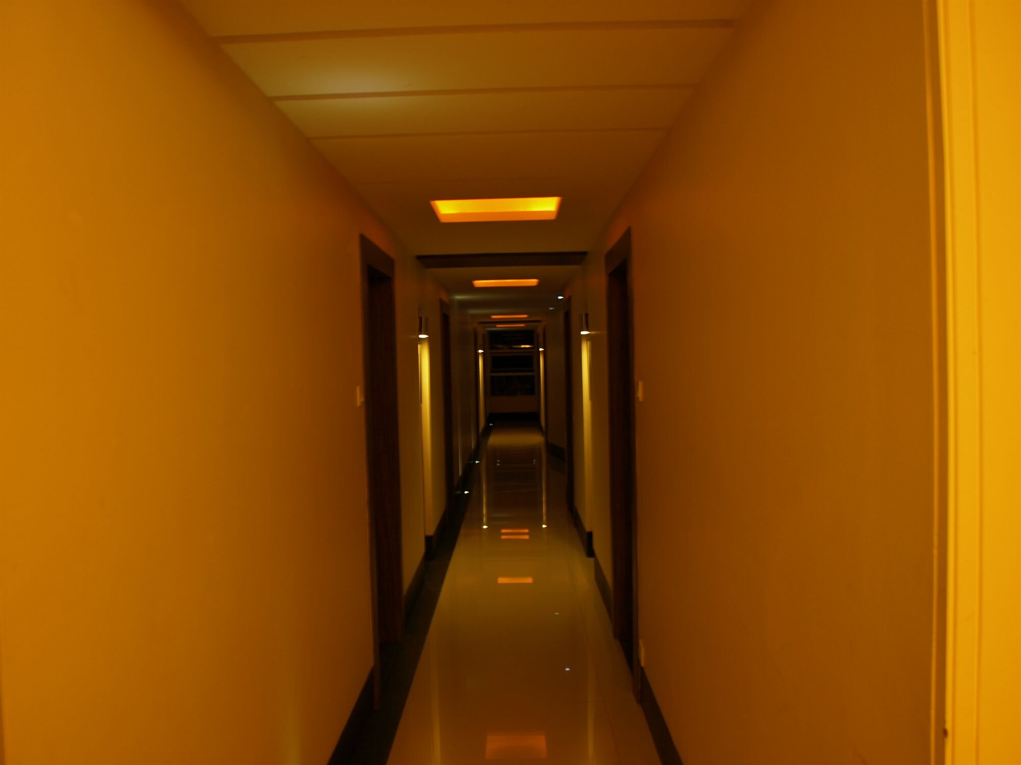 Фото Kapila Business Hotel