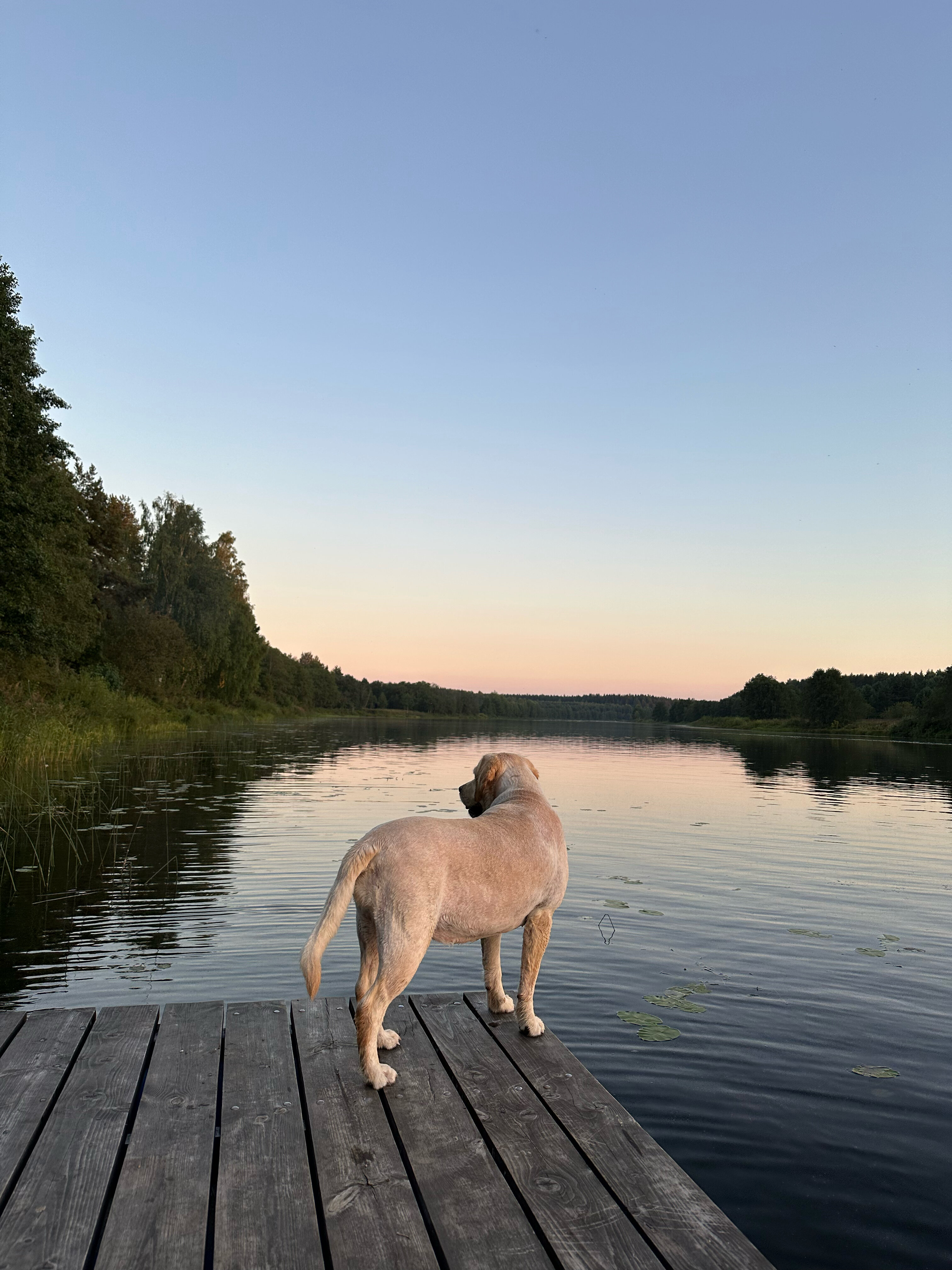 Фото Страна семи сов