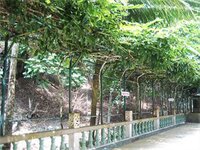 Фото Ratana Hill Patong