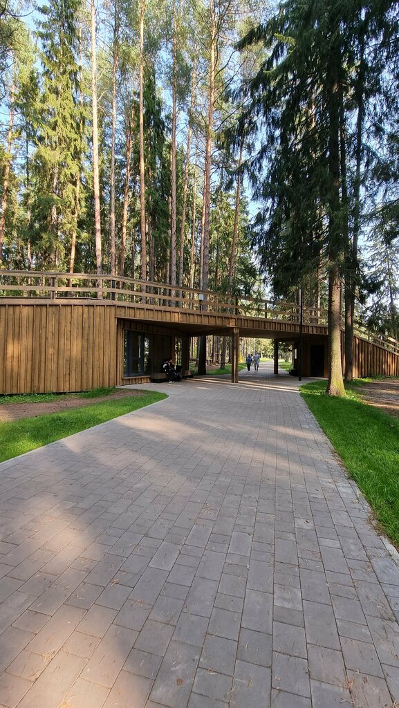 Observation deck Дом на дереве, Votkinsk, photo