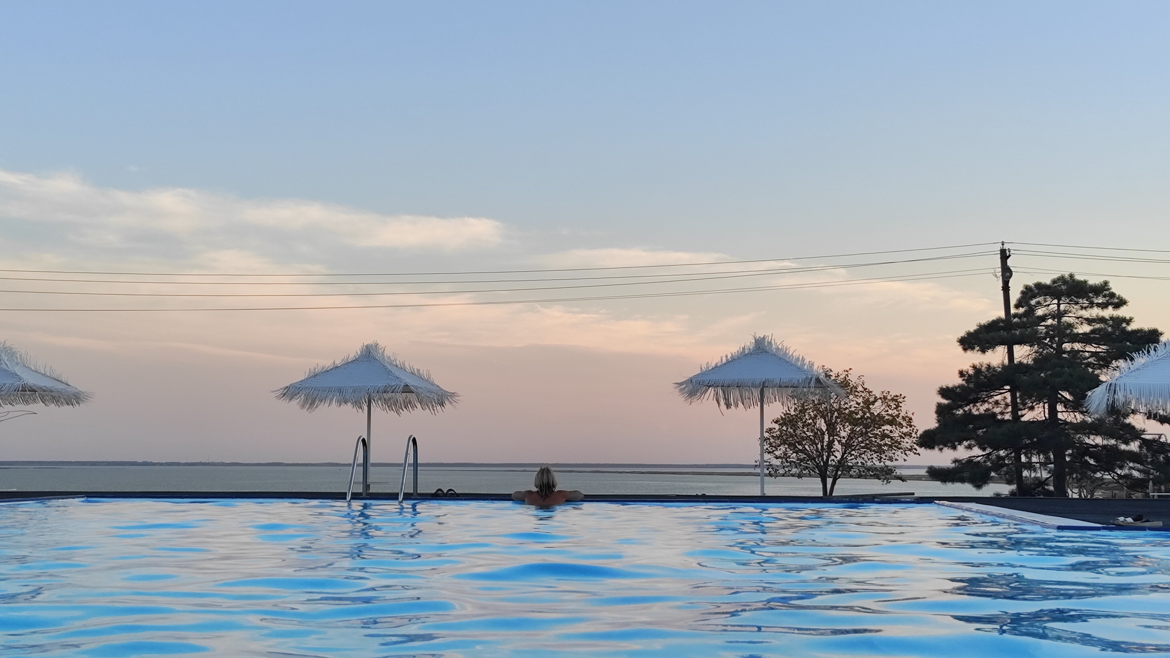 Фото Альбатрос