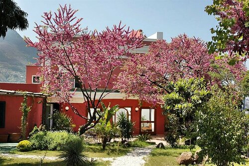 Гостиница Albergo Terme Italia в Искье