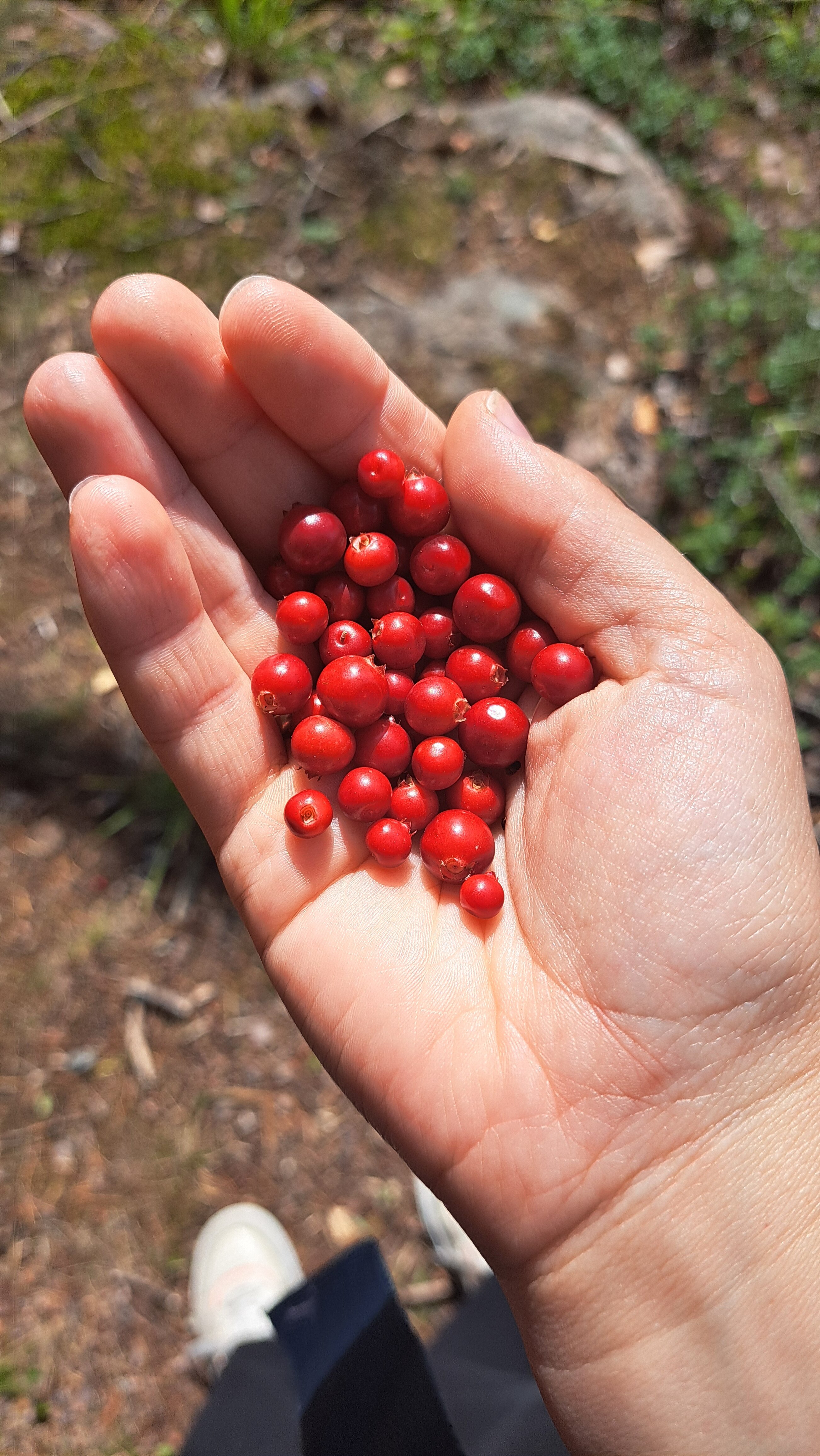 Фото Ладога Марина