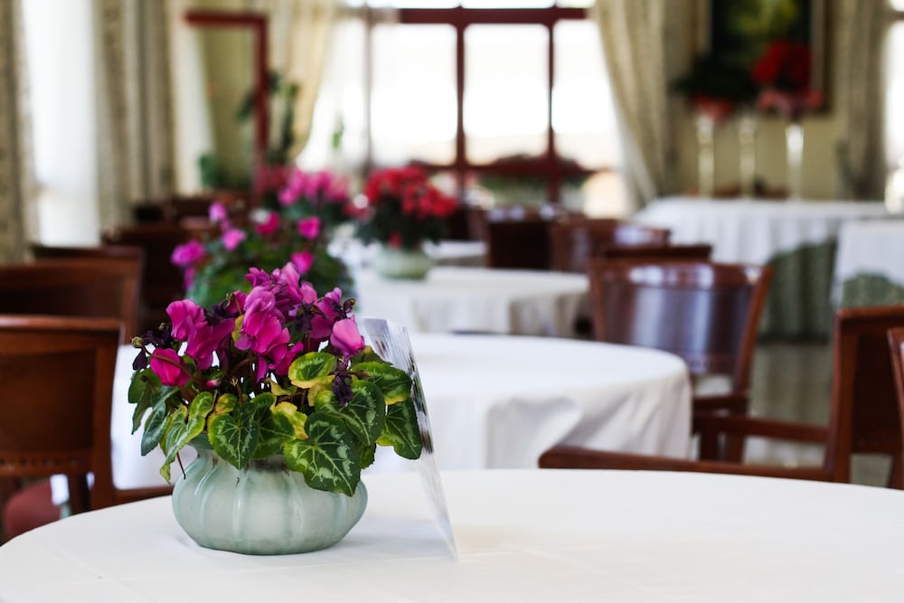 Фото Отель Ciutat Jardi