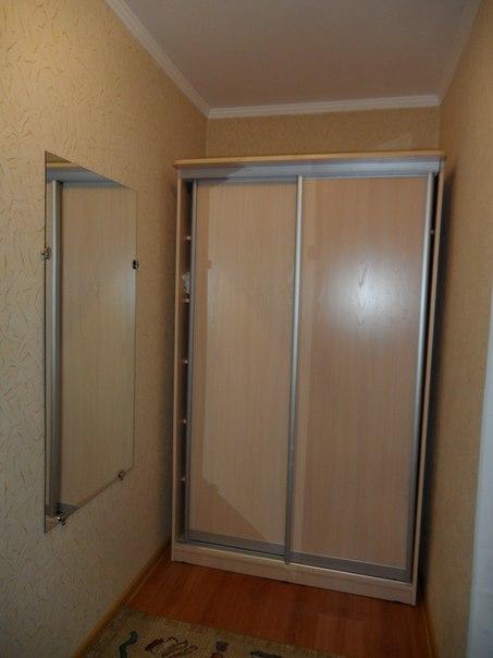 Фото Березка