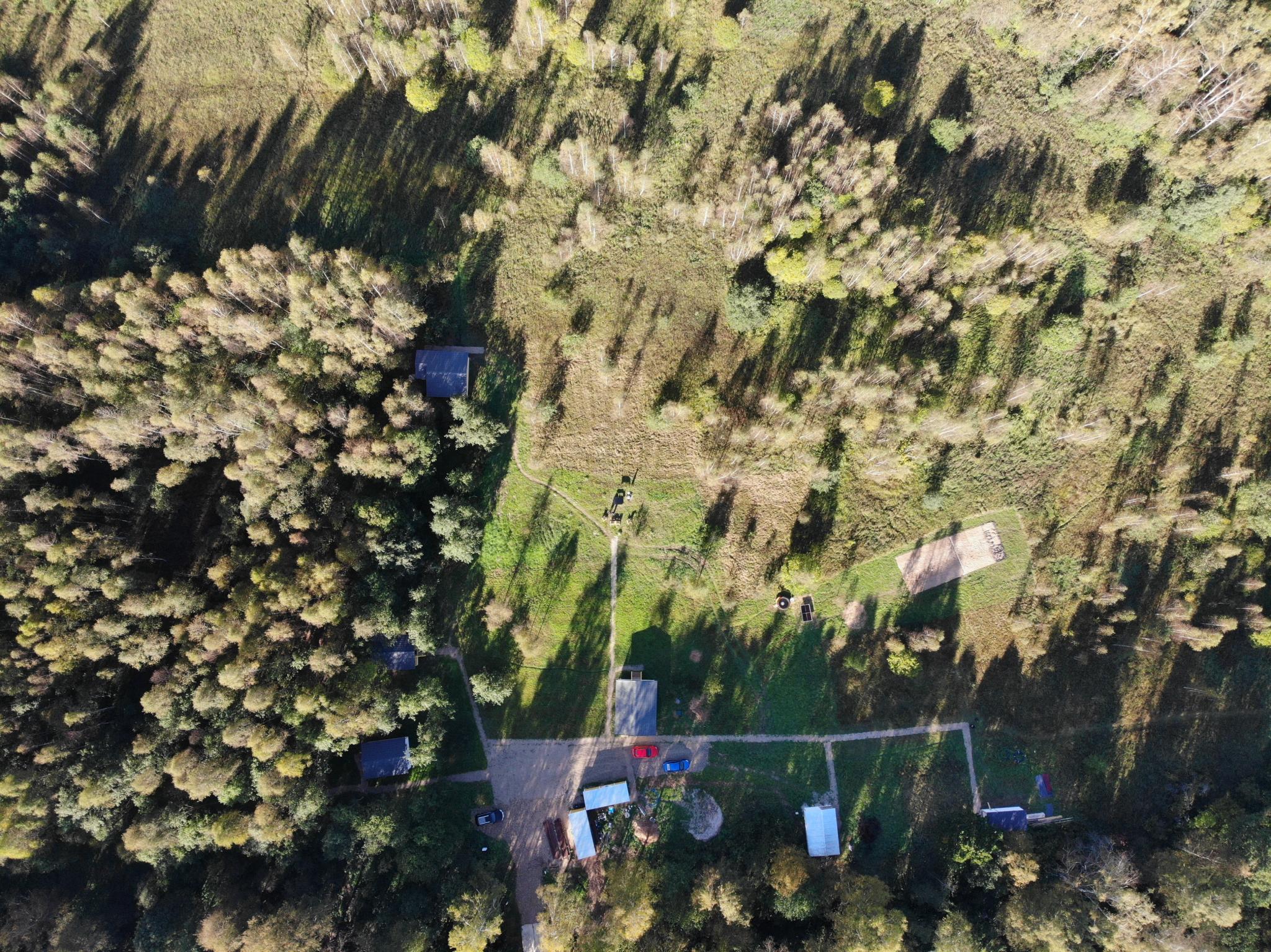 Фото Модная коза