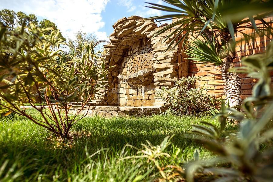 Фото Дублин Дельфин