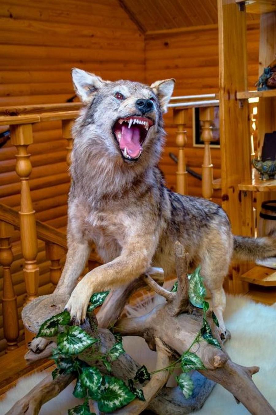 Фото Казачий хуторок