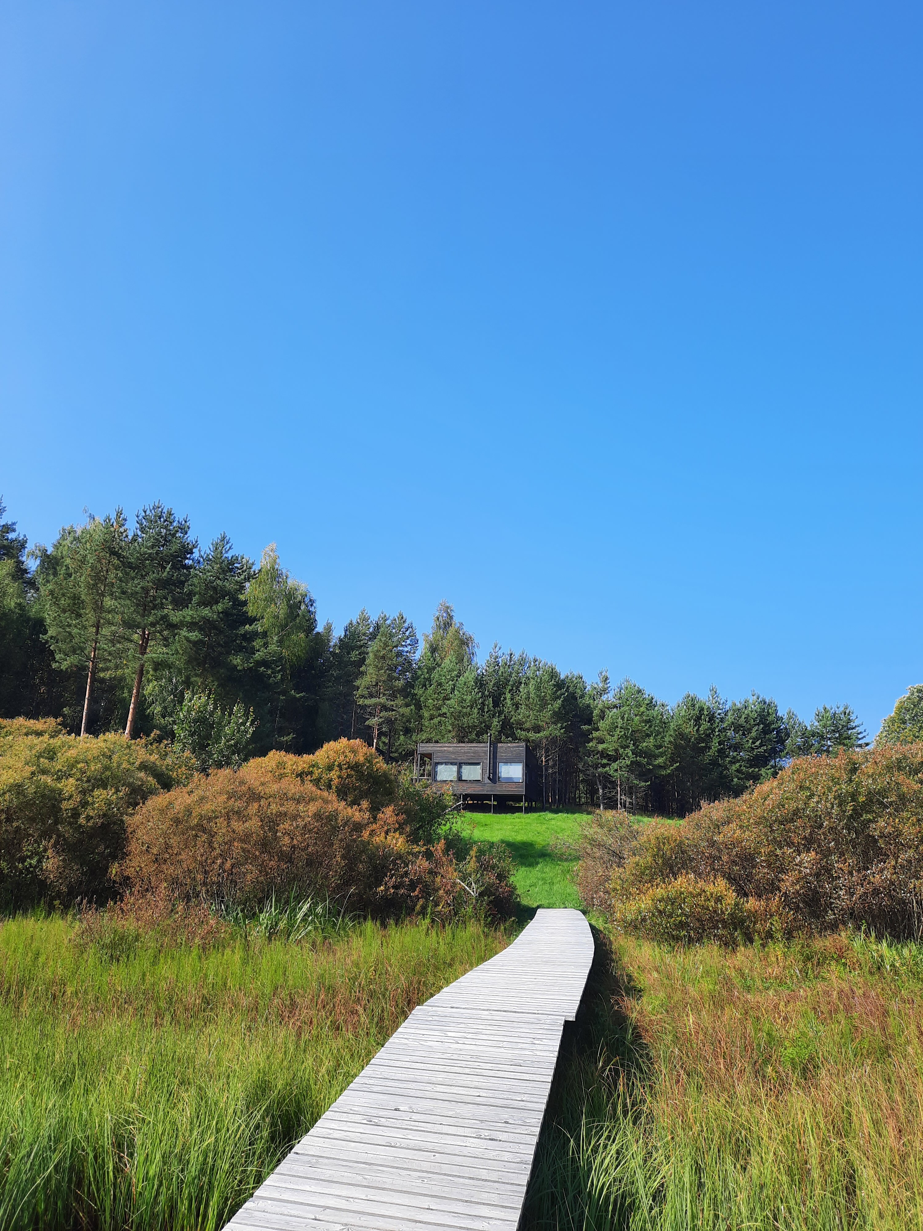 Фото Дом в лесу Холмово