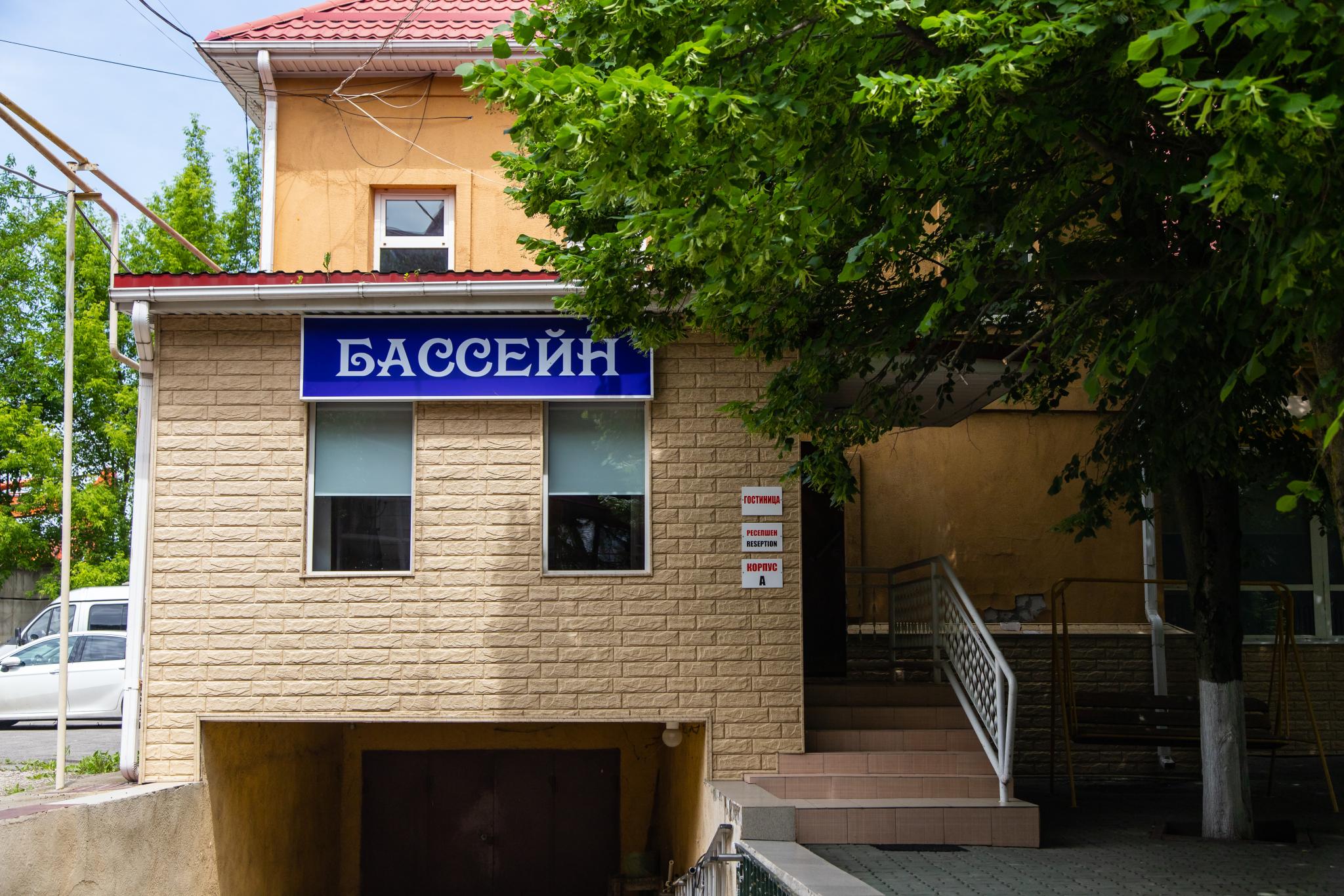 Фото Оптимист