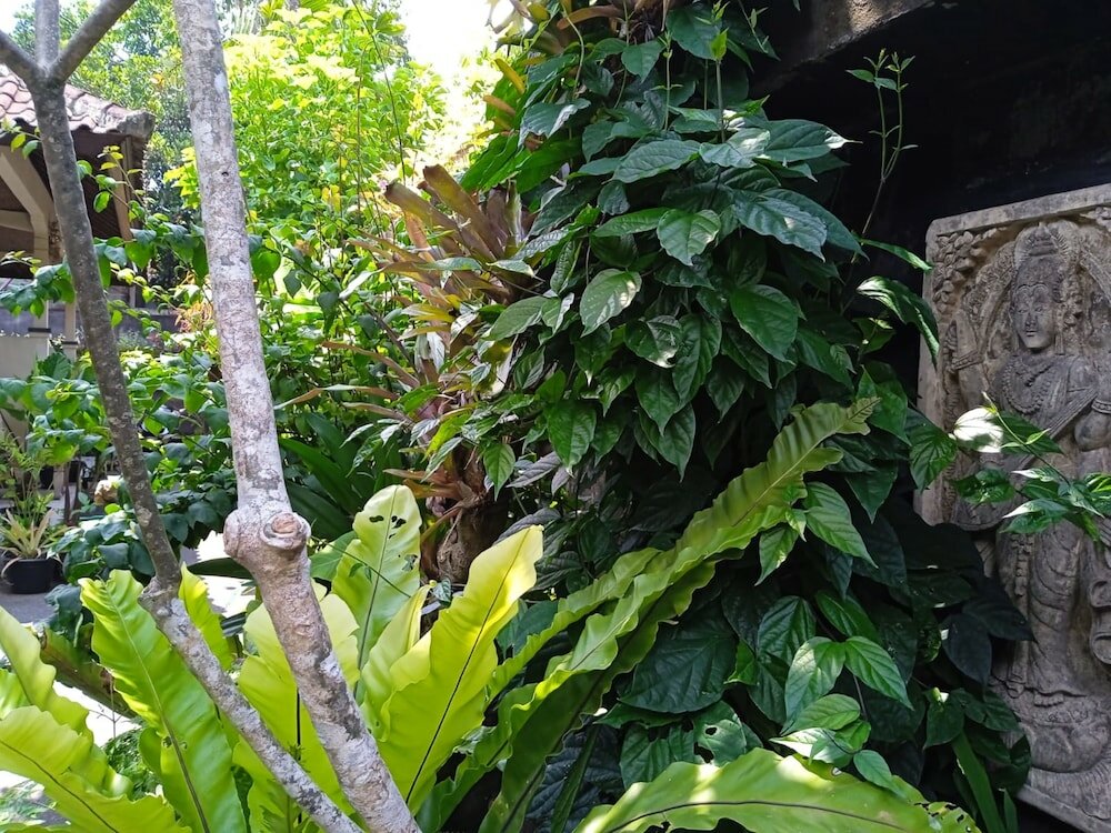 Фото Sari Gong Guest House, A Trishula Collection