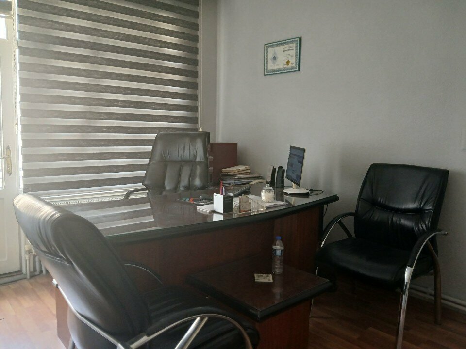 Accountants Ayse Gumus Freelance Accountant Financial Advisor, Konya, photo