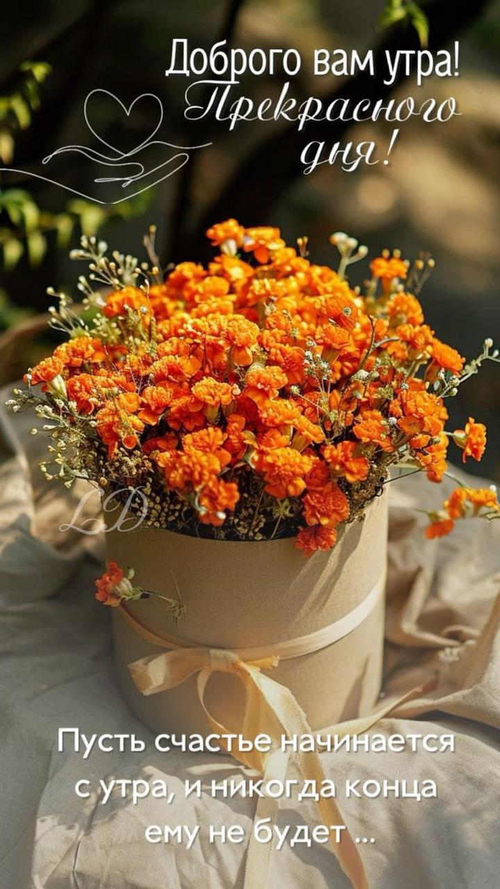 Фото Атмосфера