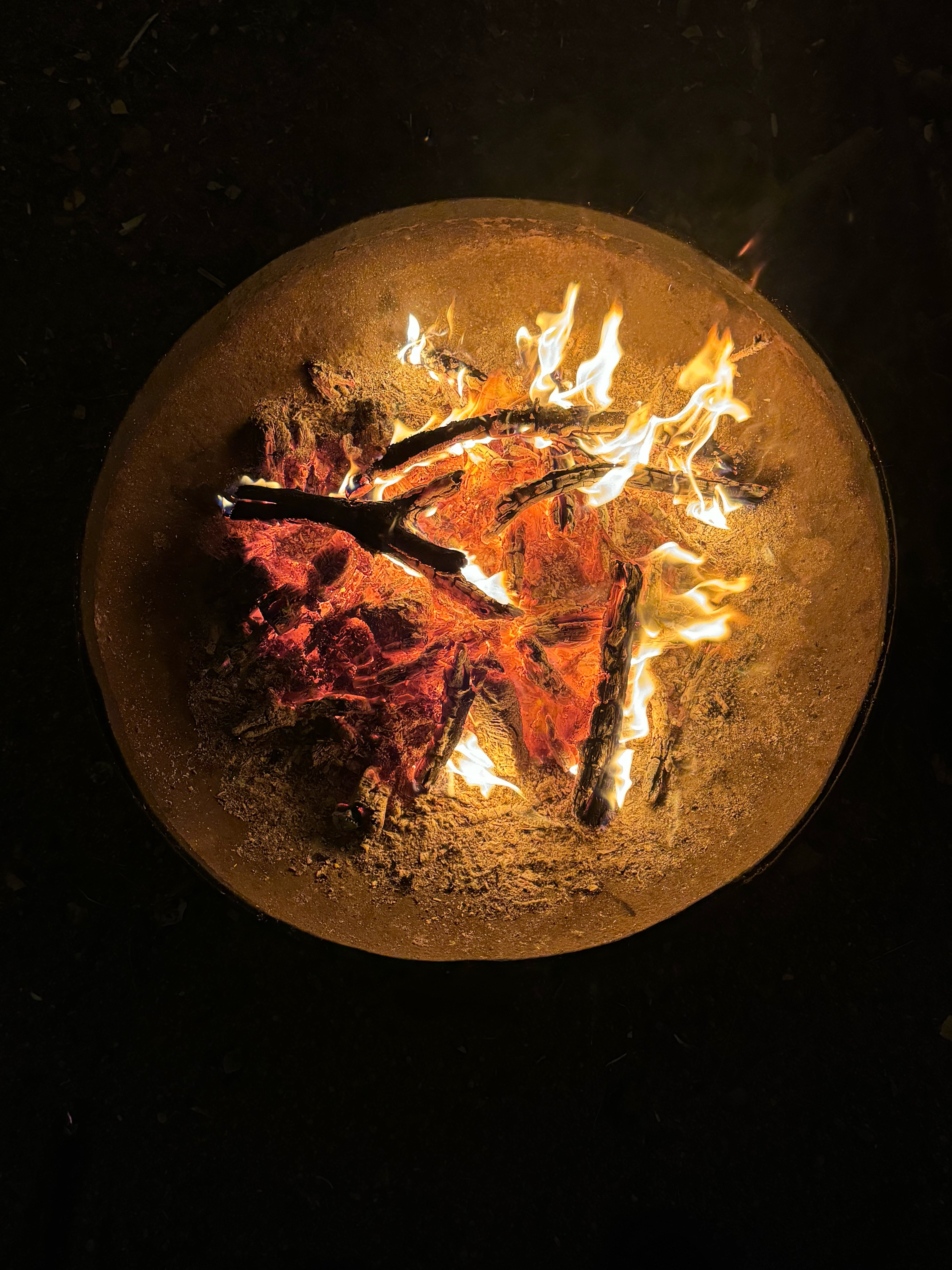 Фото Smell Of The Forest