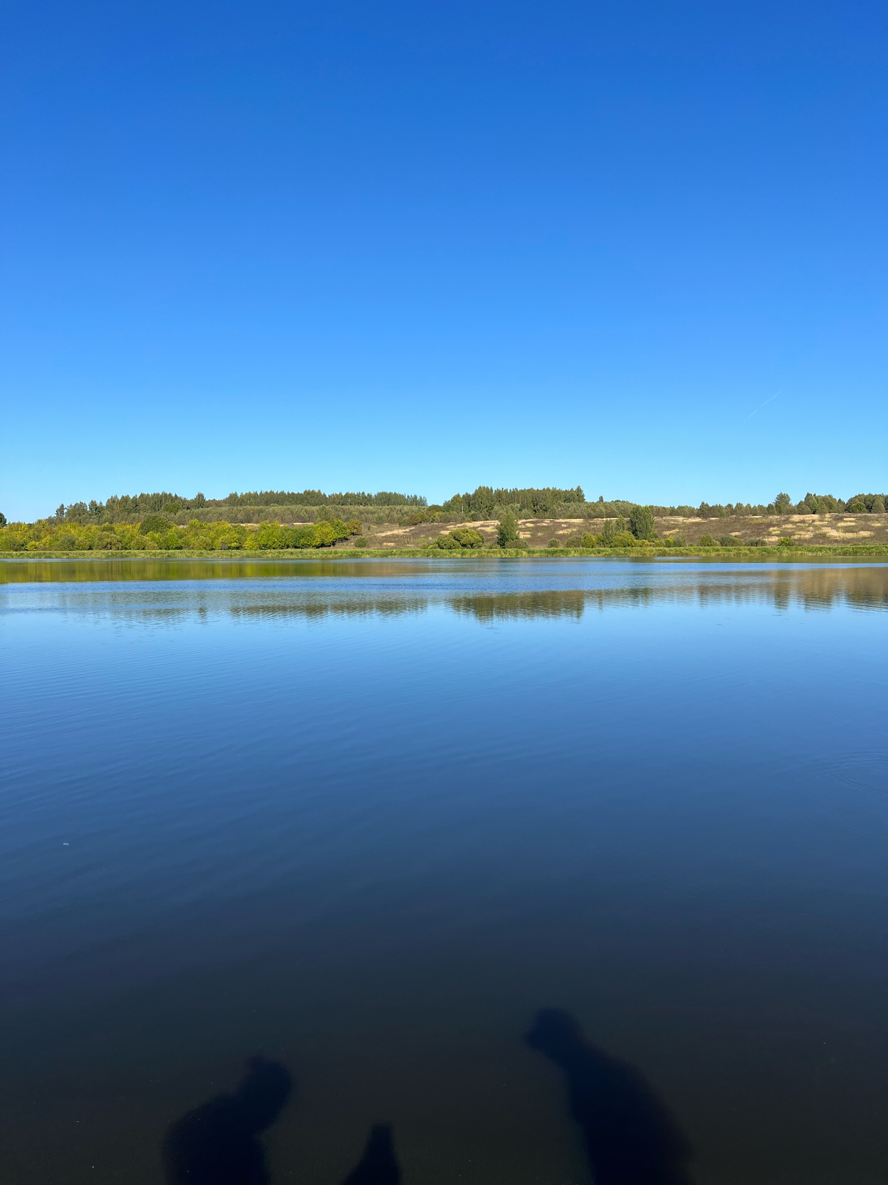 Фото Место встречи-Волга