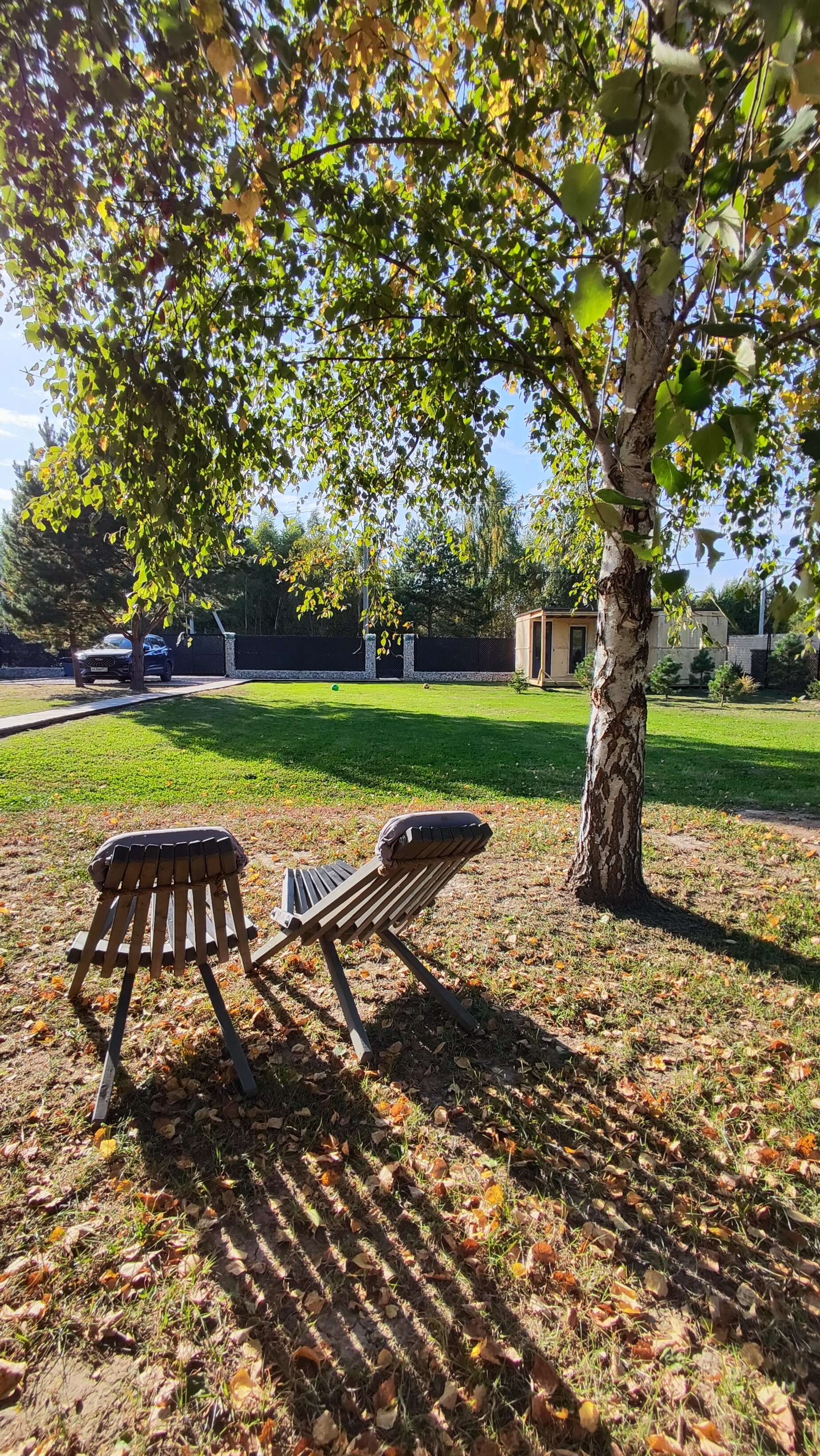 Фото Сканди куб