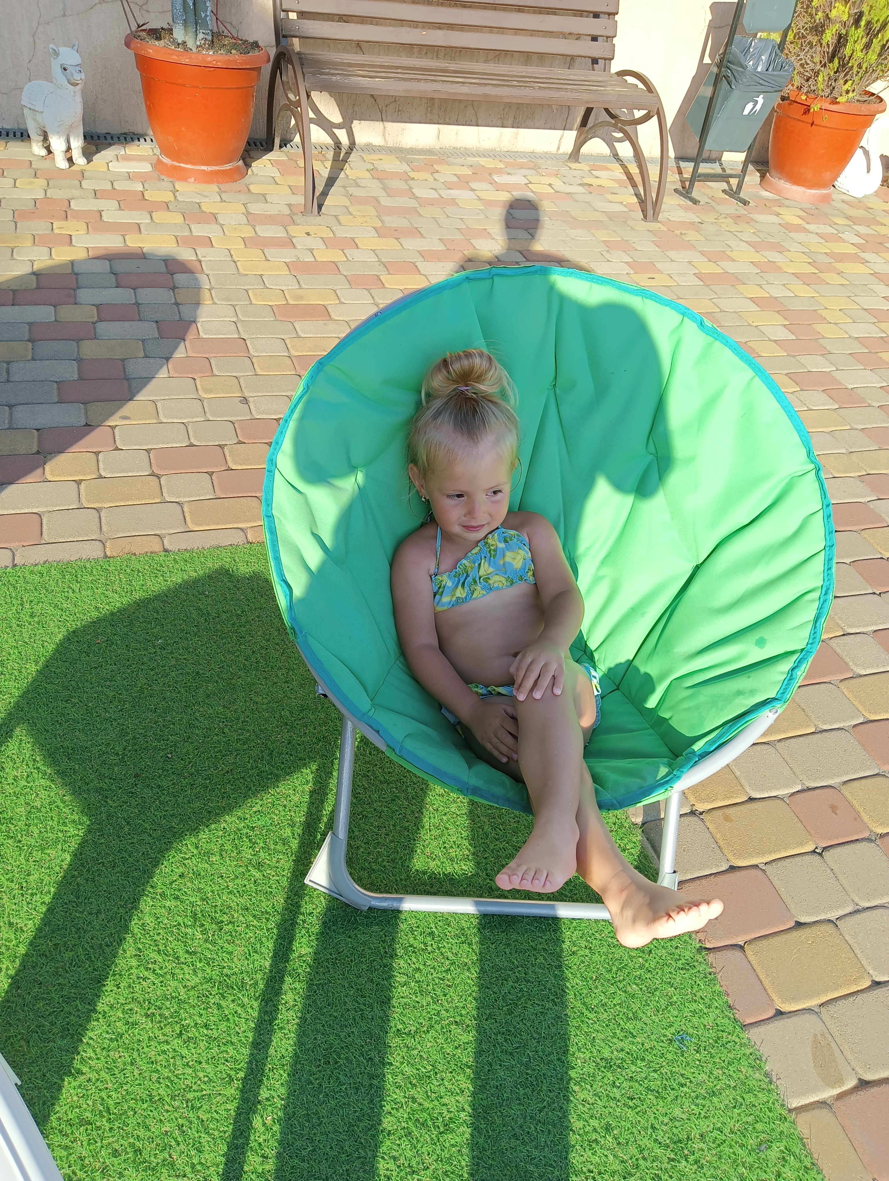 Фото Феникс