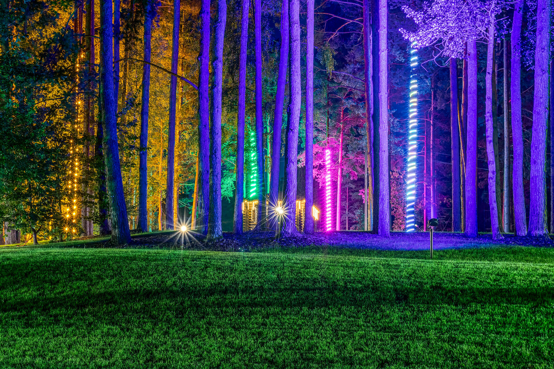 Фото Тюрьма для жира